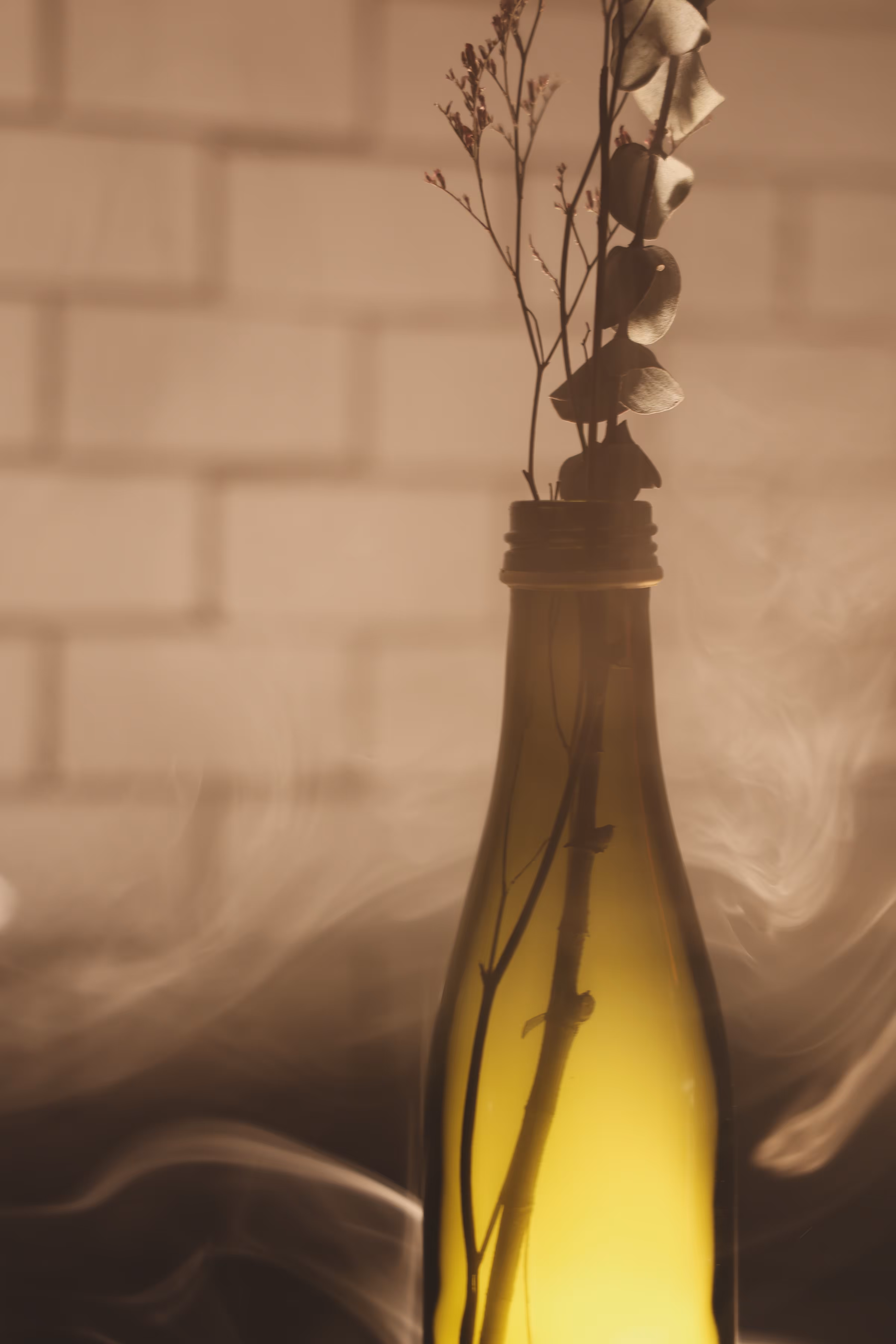 _silent absence 