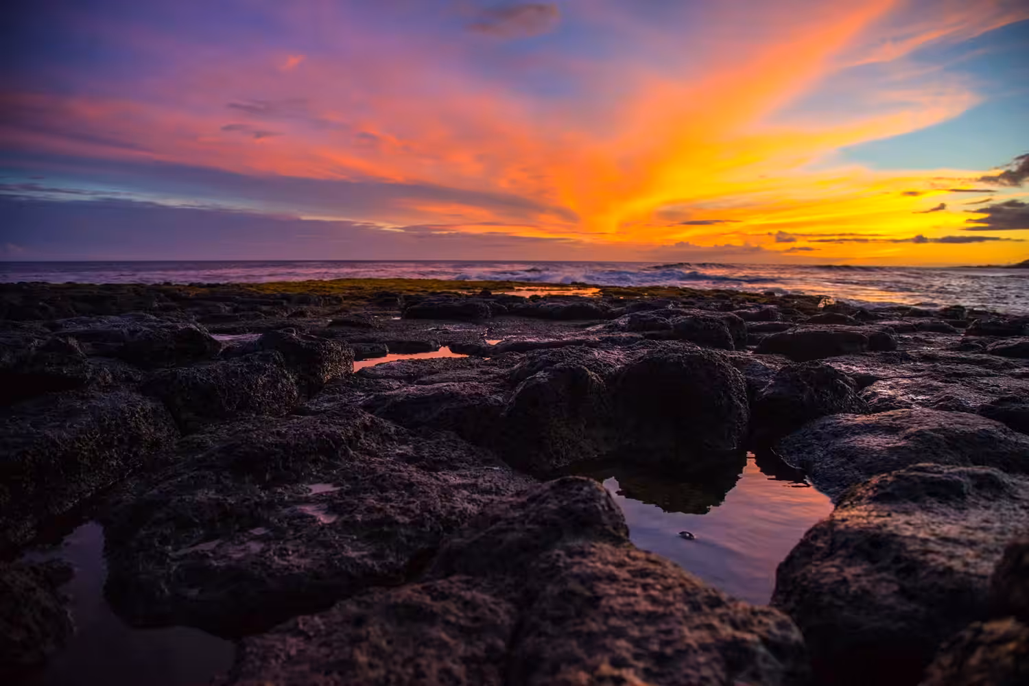 Nukumoi Point @ Poipu Beach 01