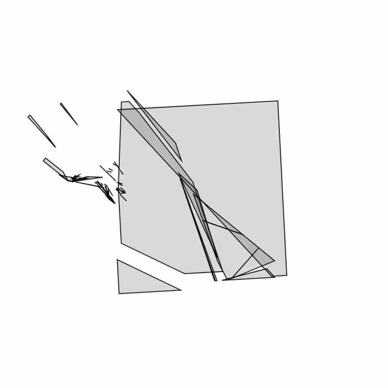 Fracture #21
