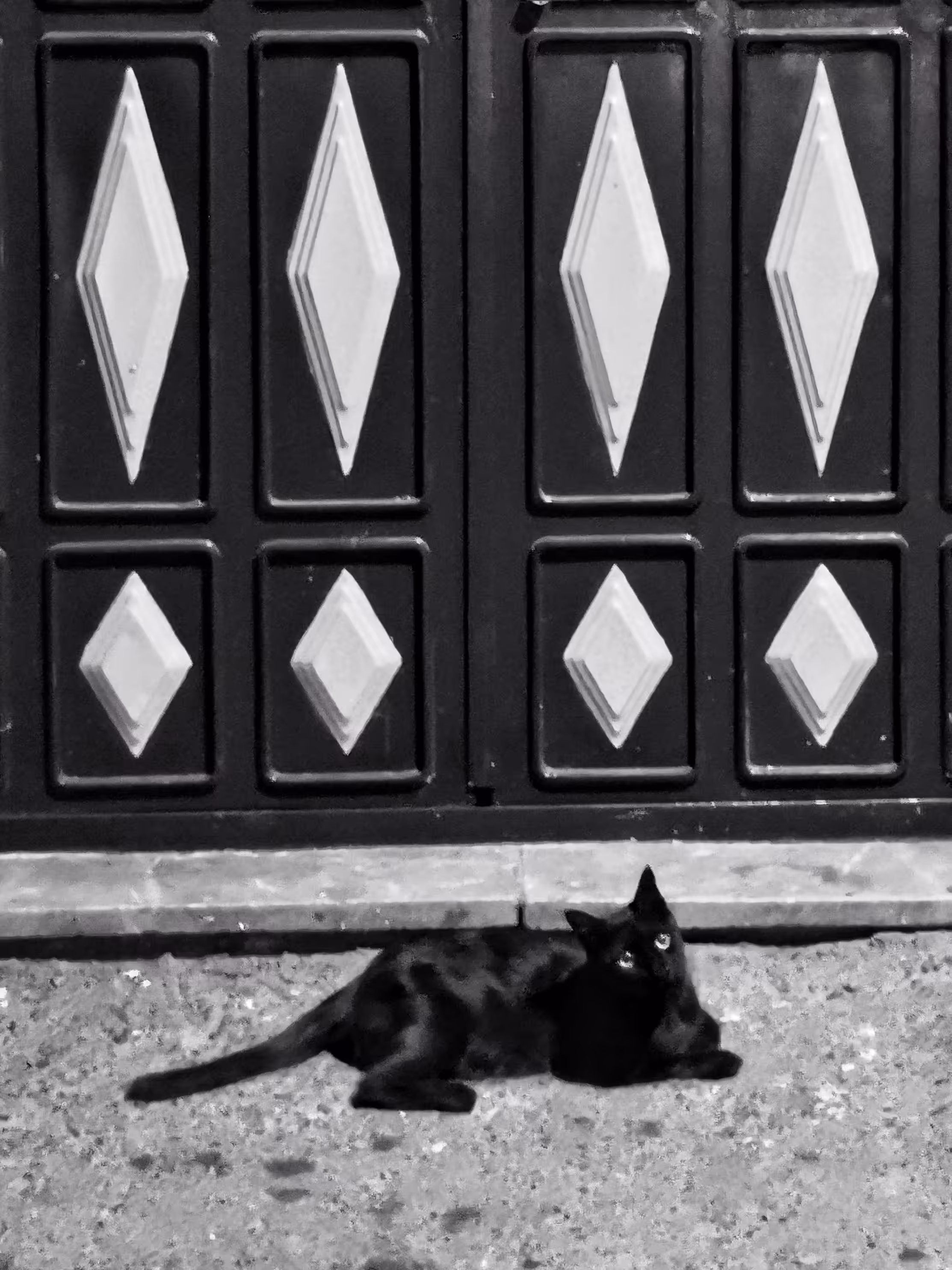 Stray