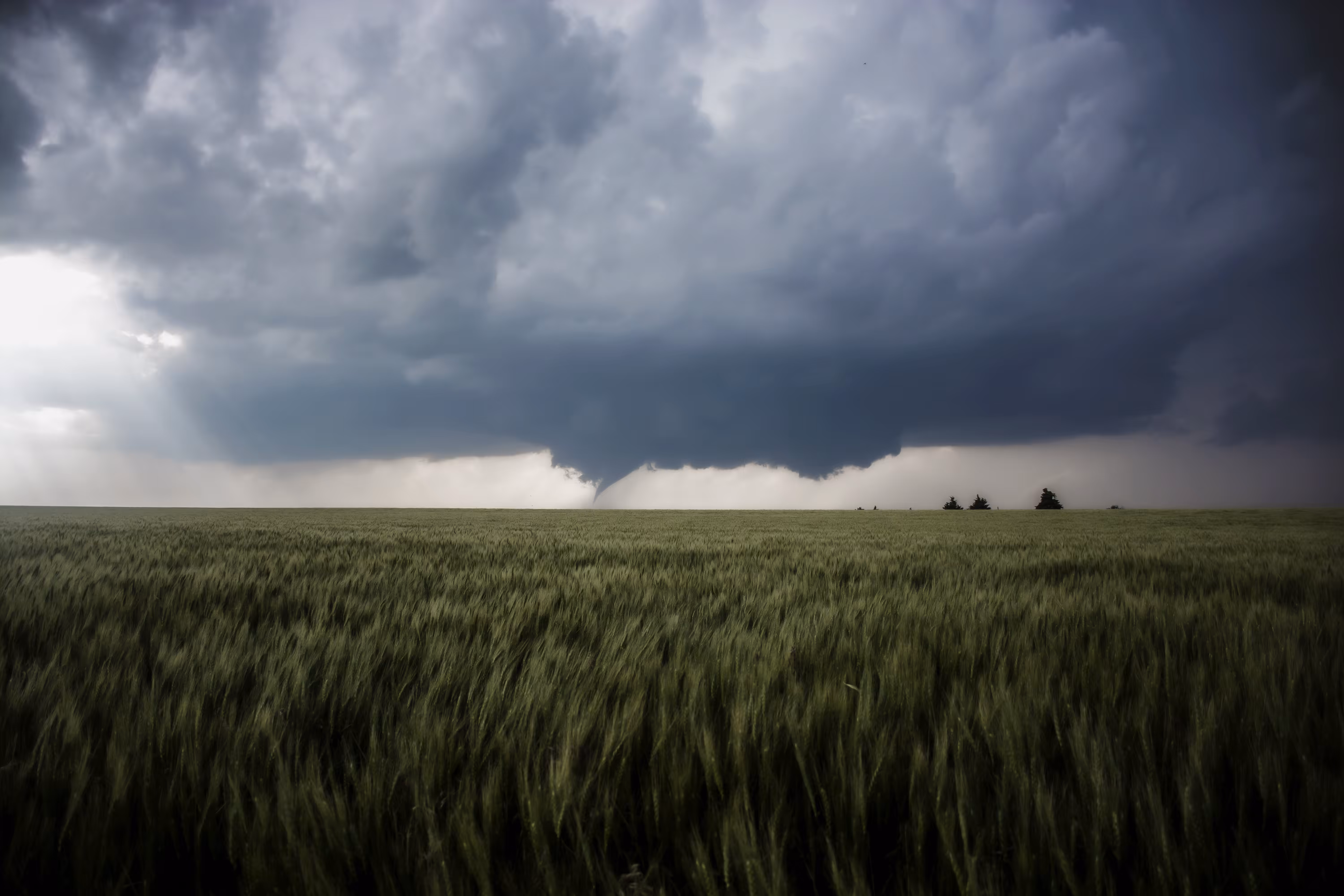 The Kansas Twister