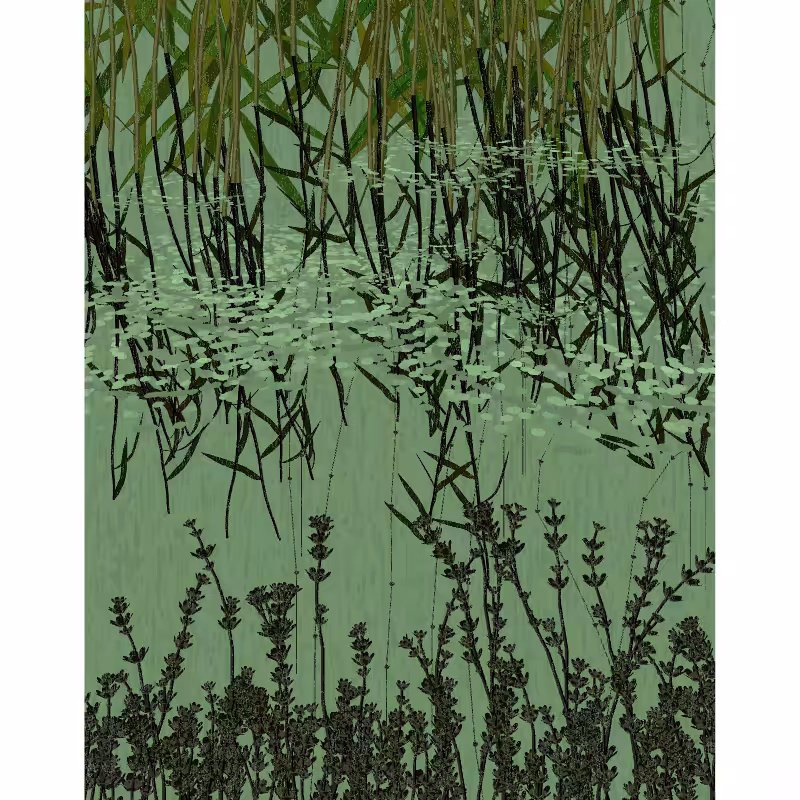 Reflecting pools #67