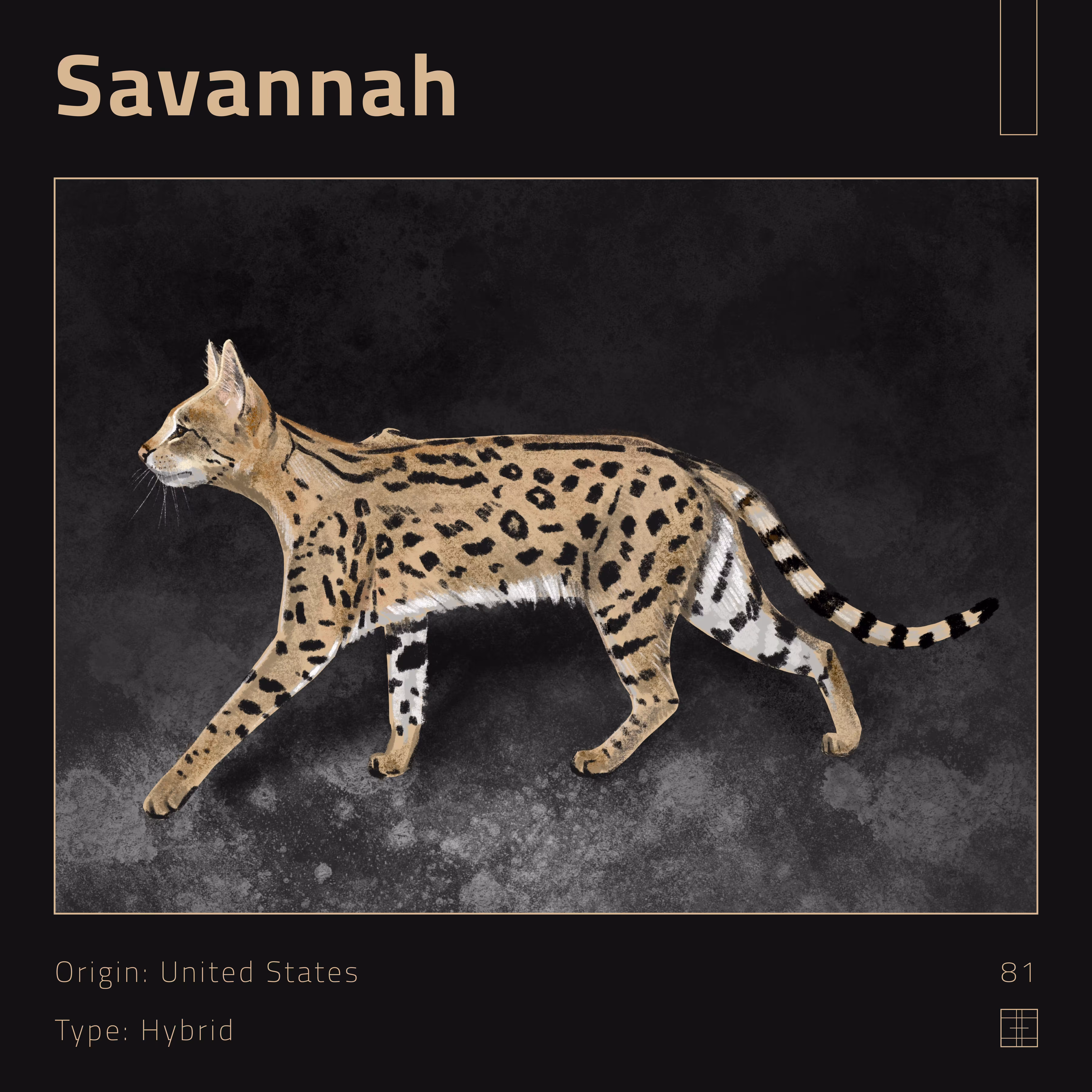 81 – Savannah