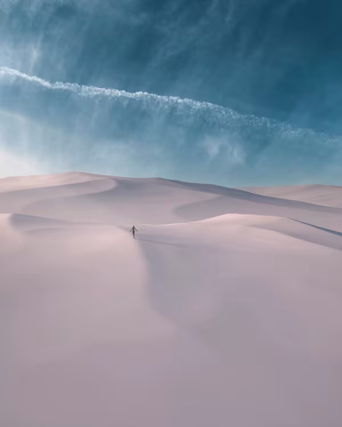 DUNESCAPE XVII