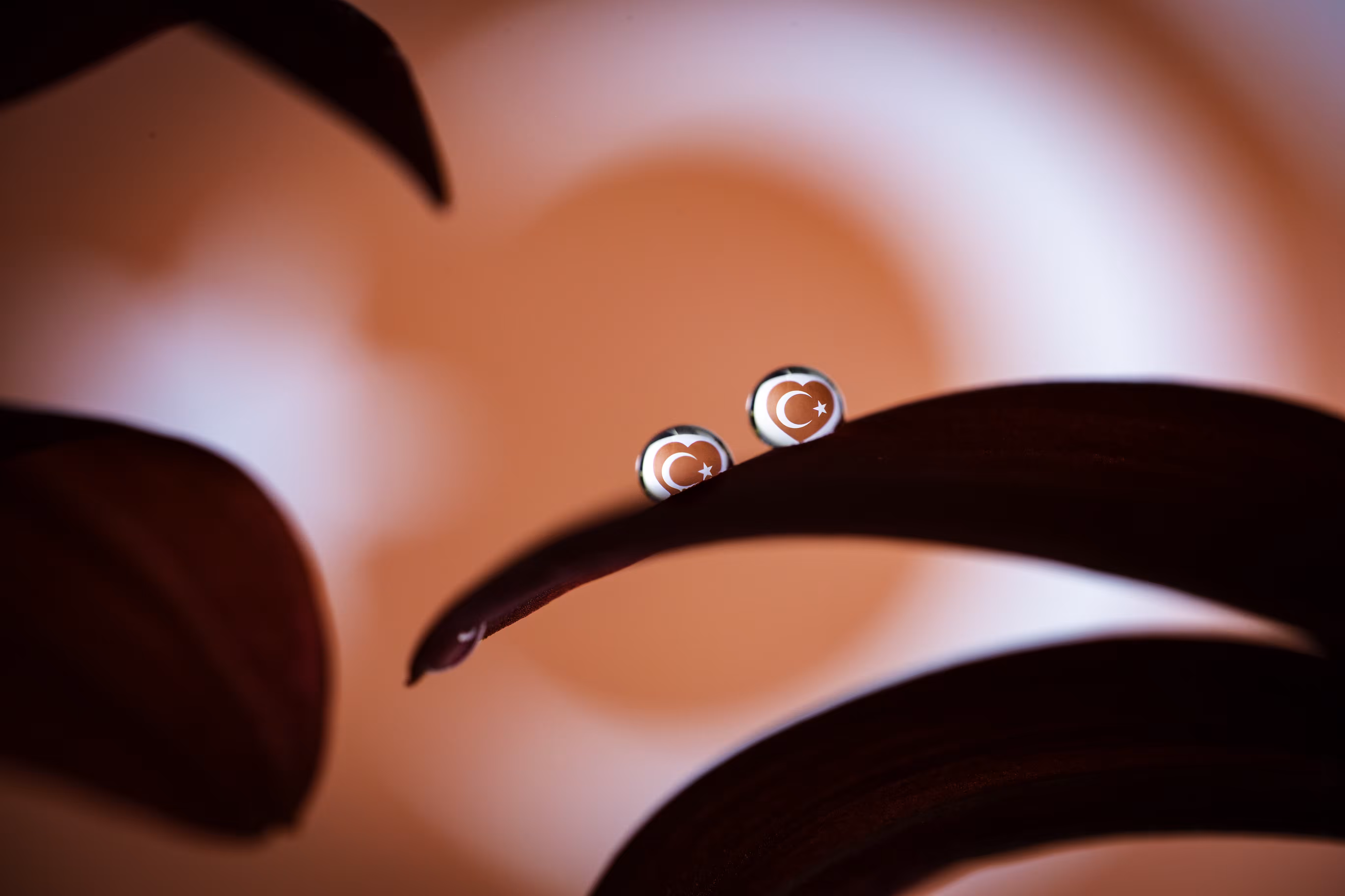 Drops of Love