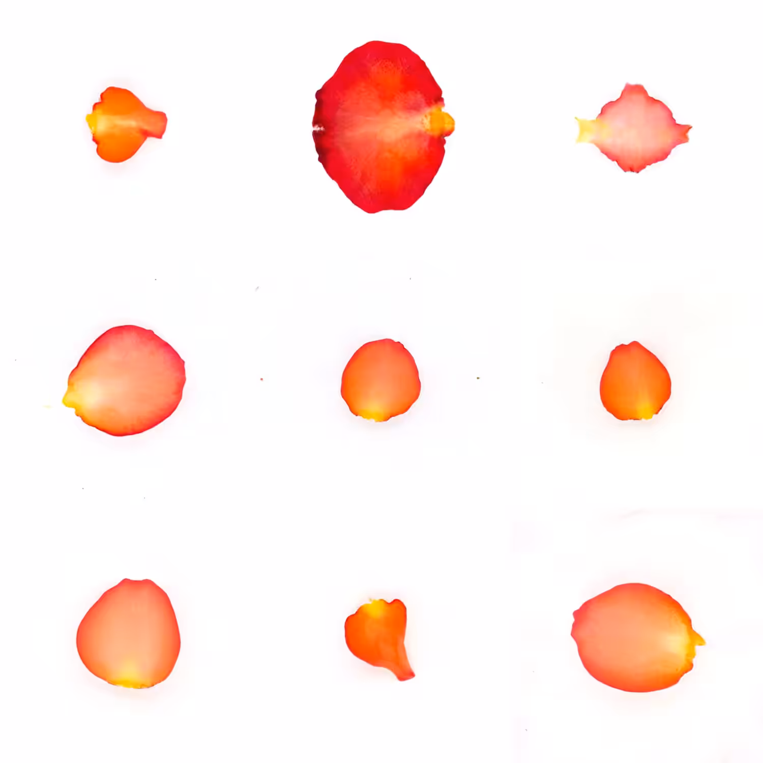 Infinite Petals 3x3#3373