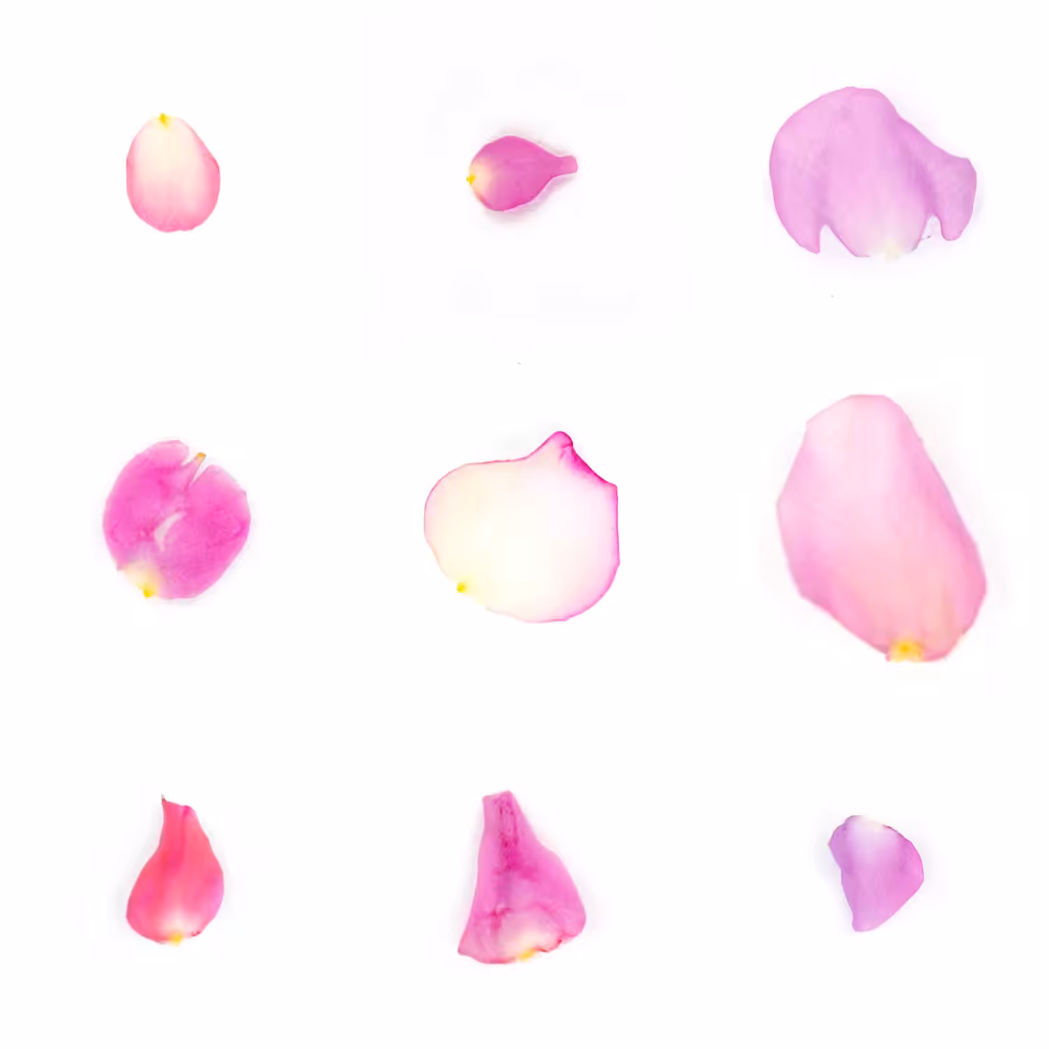 Infinite Petals 3x3#1585