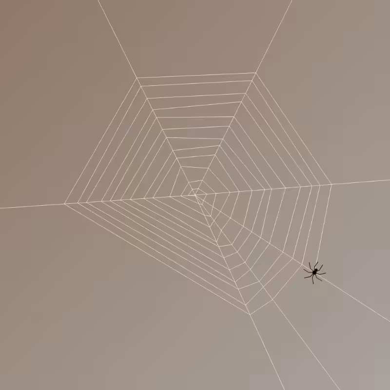 Weaving Spiders #3
