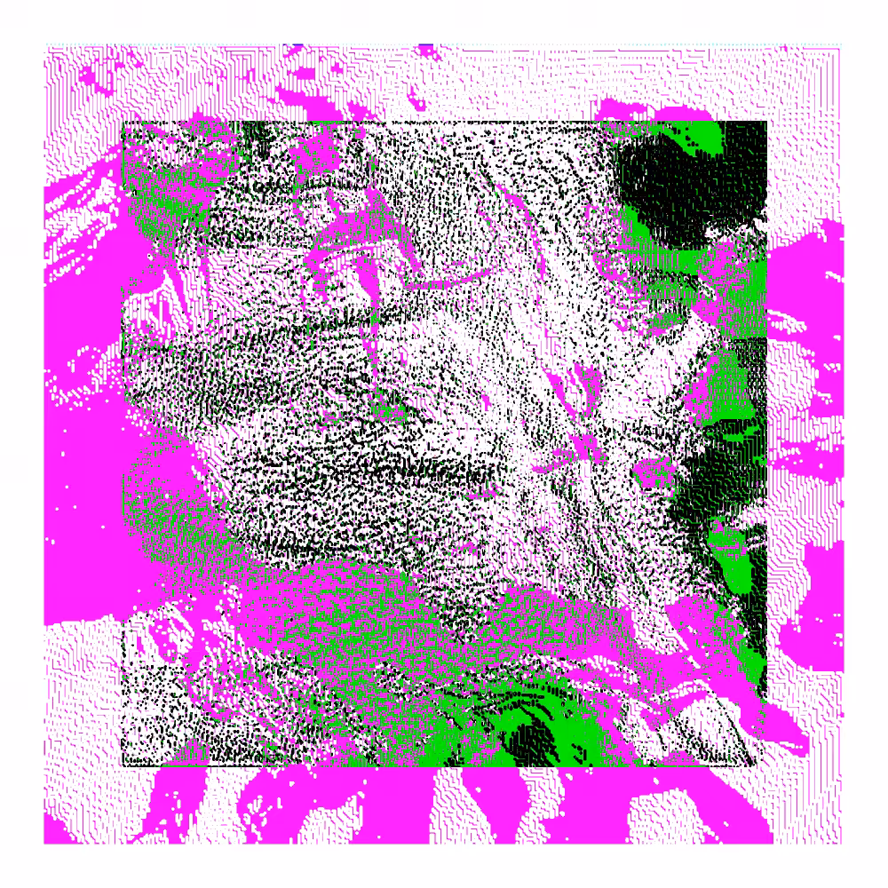 CHX-1 #196