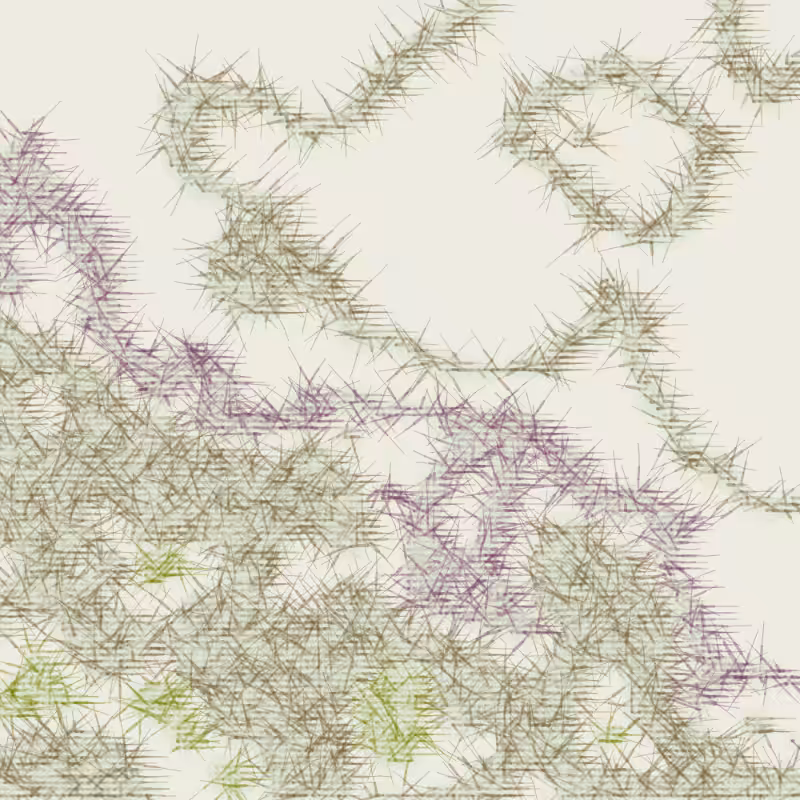 Petri 1500 #397