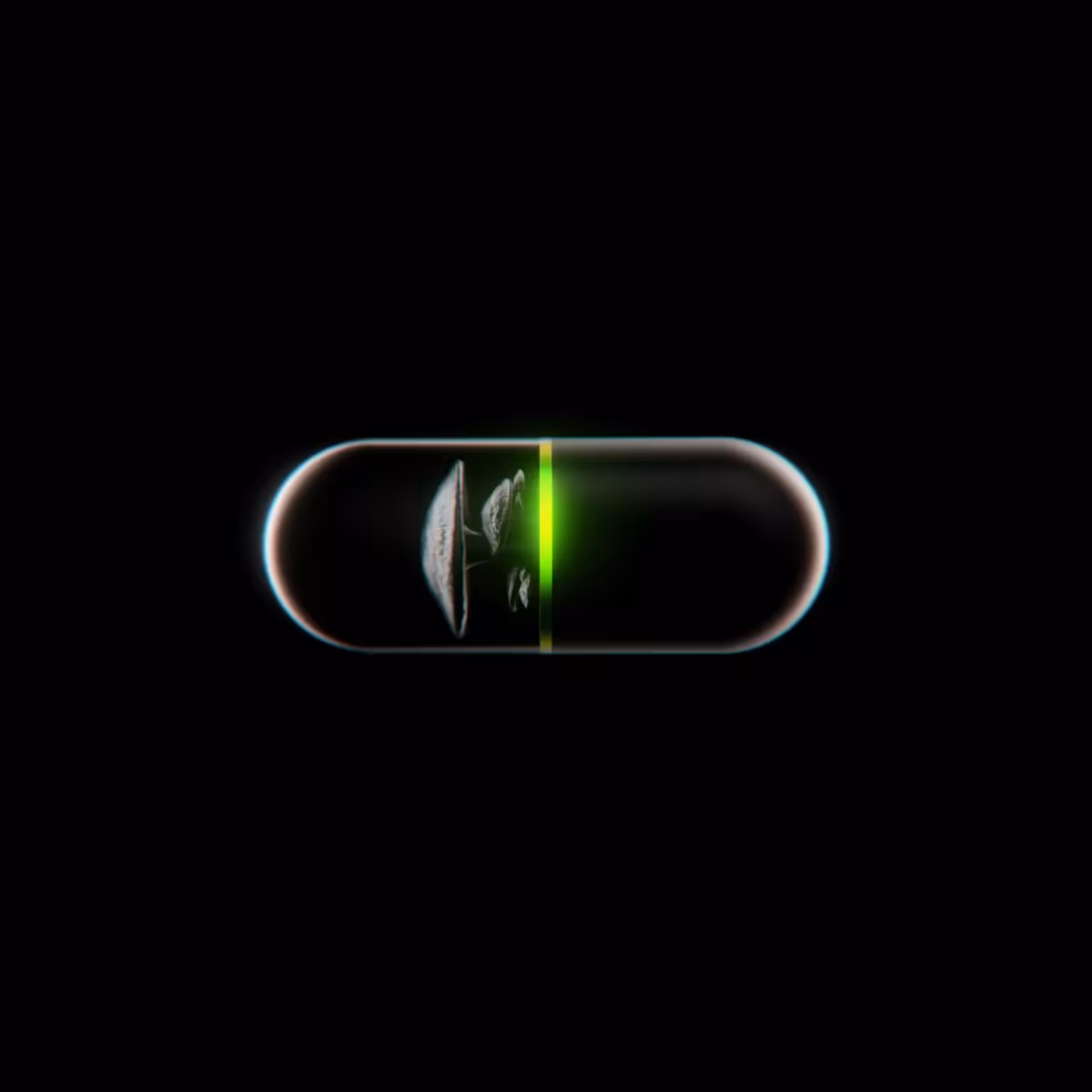 MUSHROOM PILL