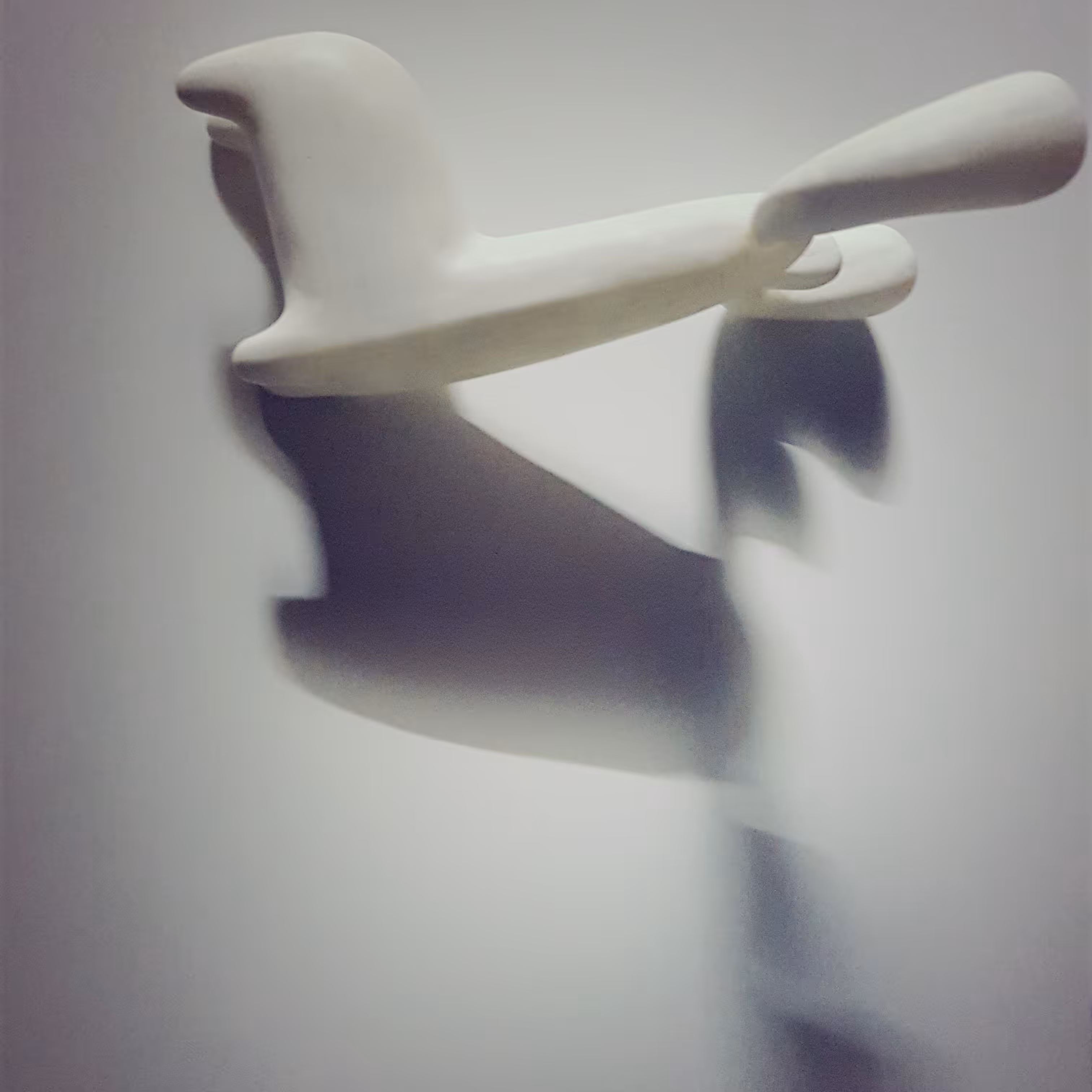 Shadow