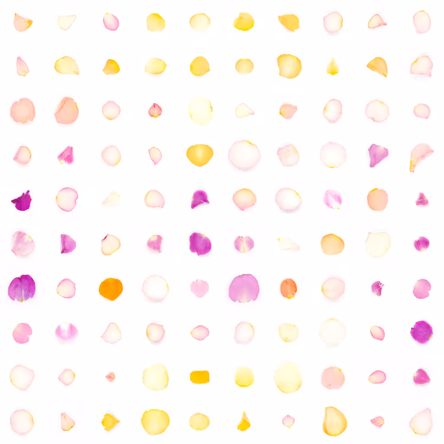 Infinite Petals 10x10#1231