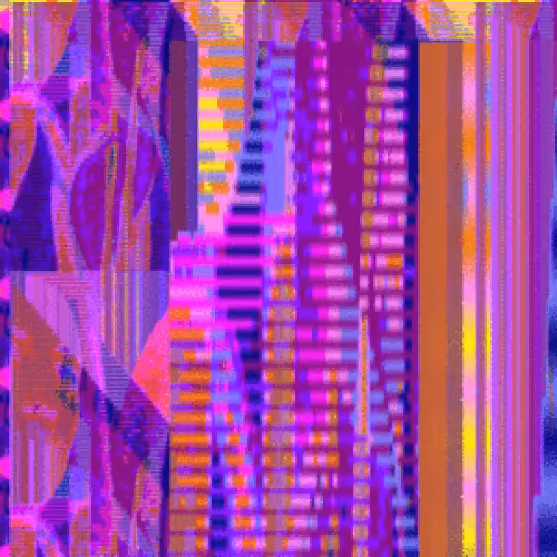 14202.mp4