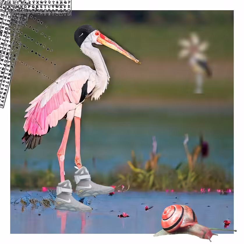 A strange marabou stork as a fashion designer #004