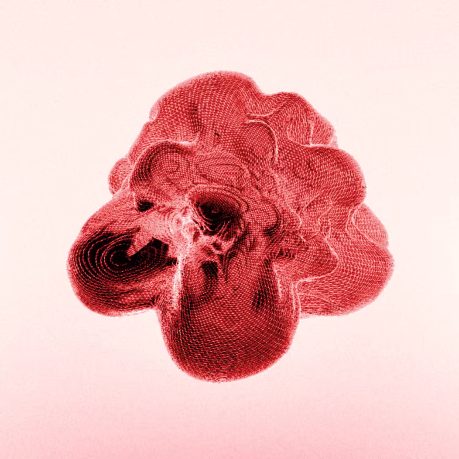 Genesis void #001
