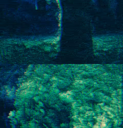Behind the Digital Tree