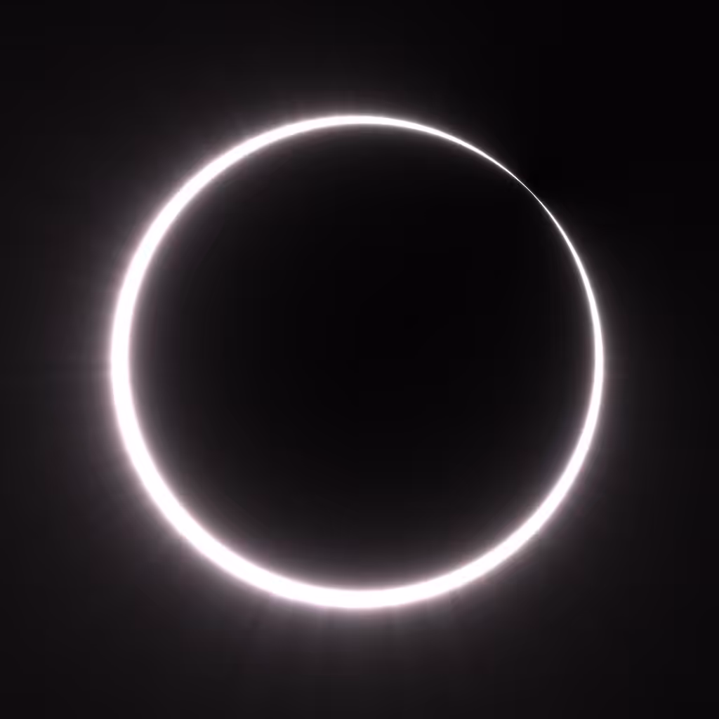 Totality #213