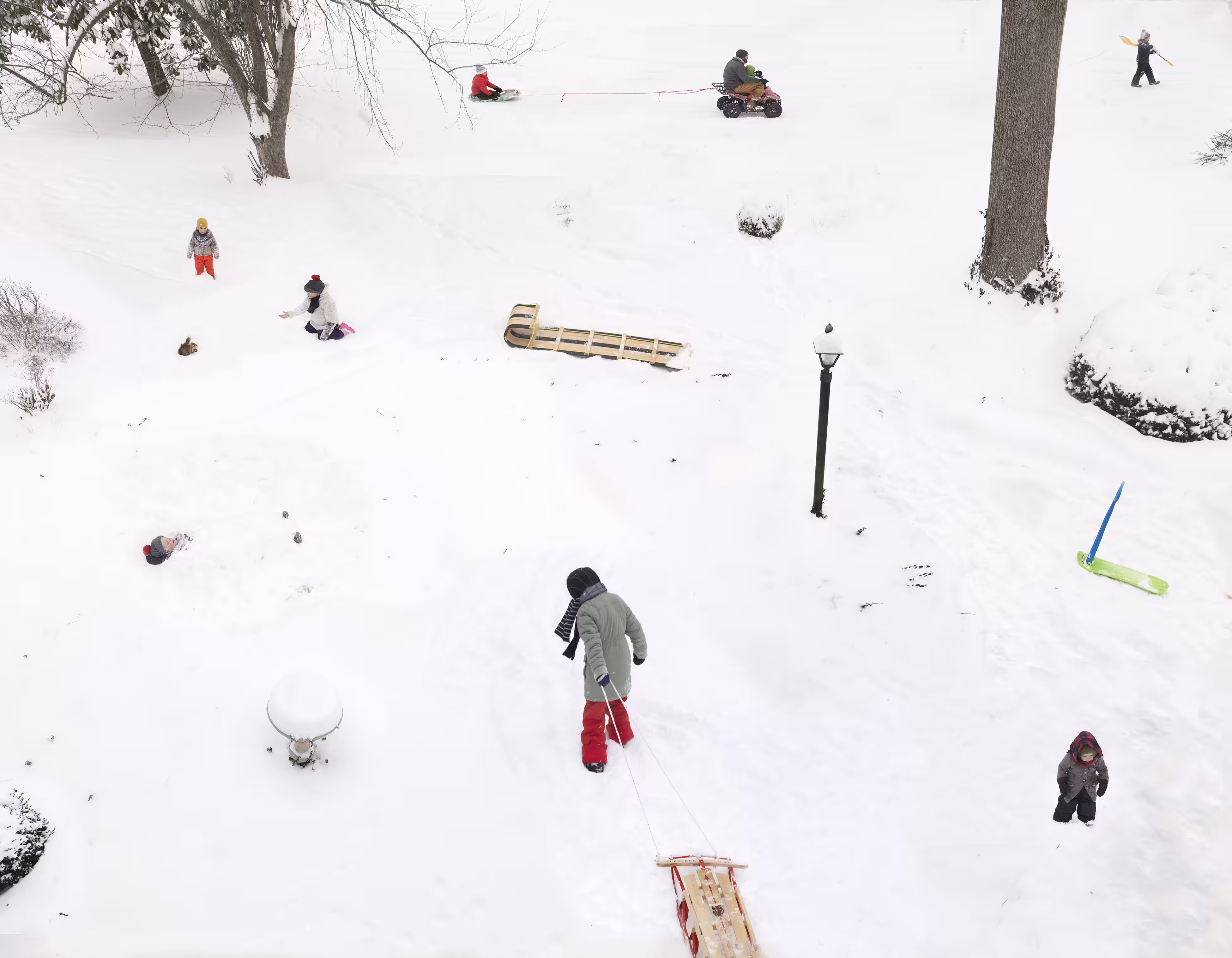Homegrown - Snow Days