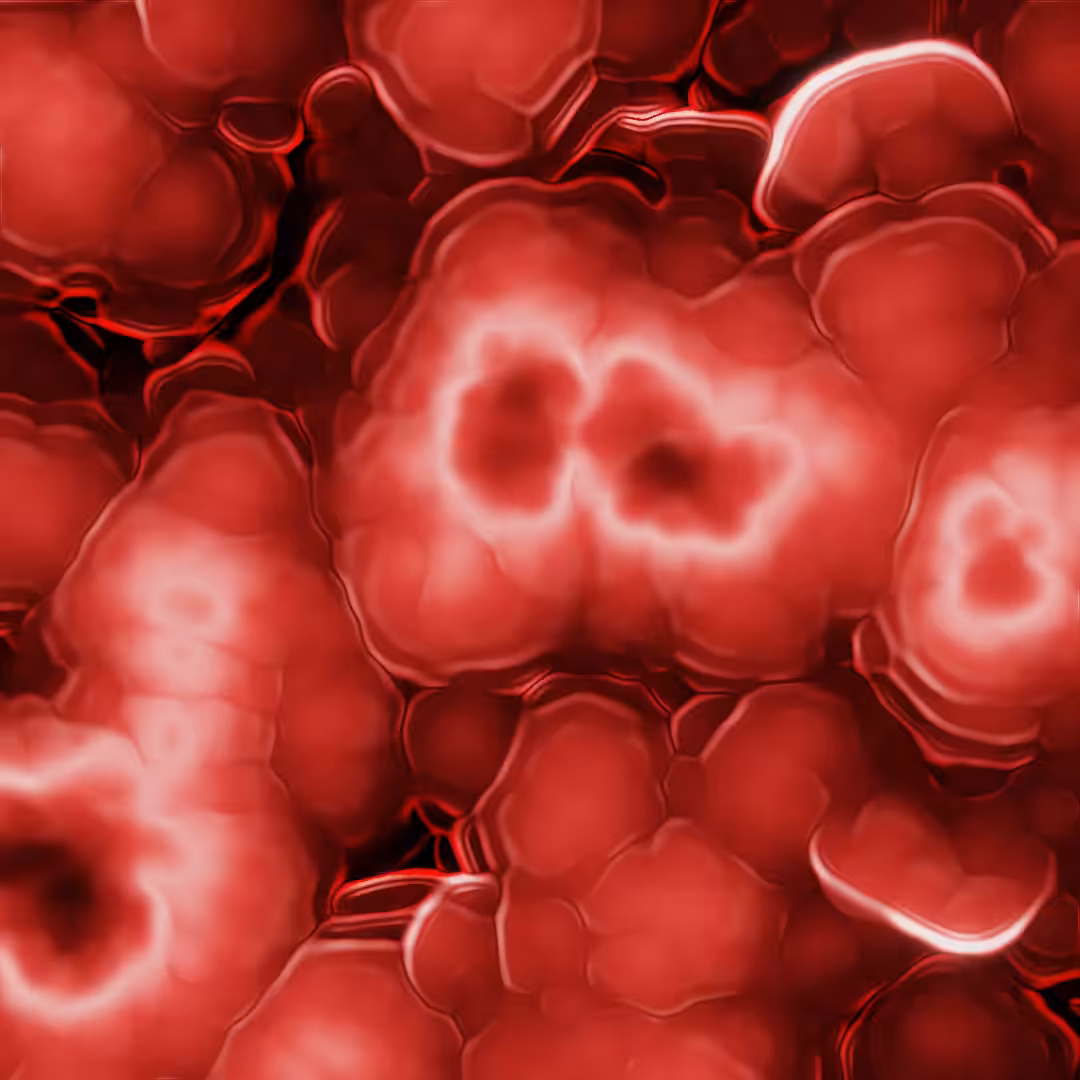 Primordial VII - Argon and Realgar