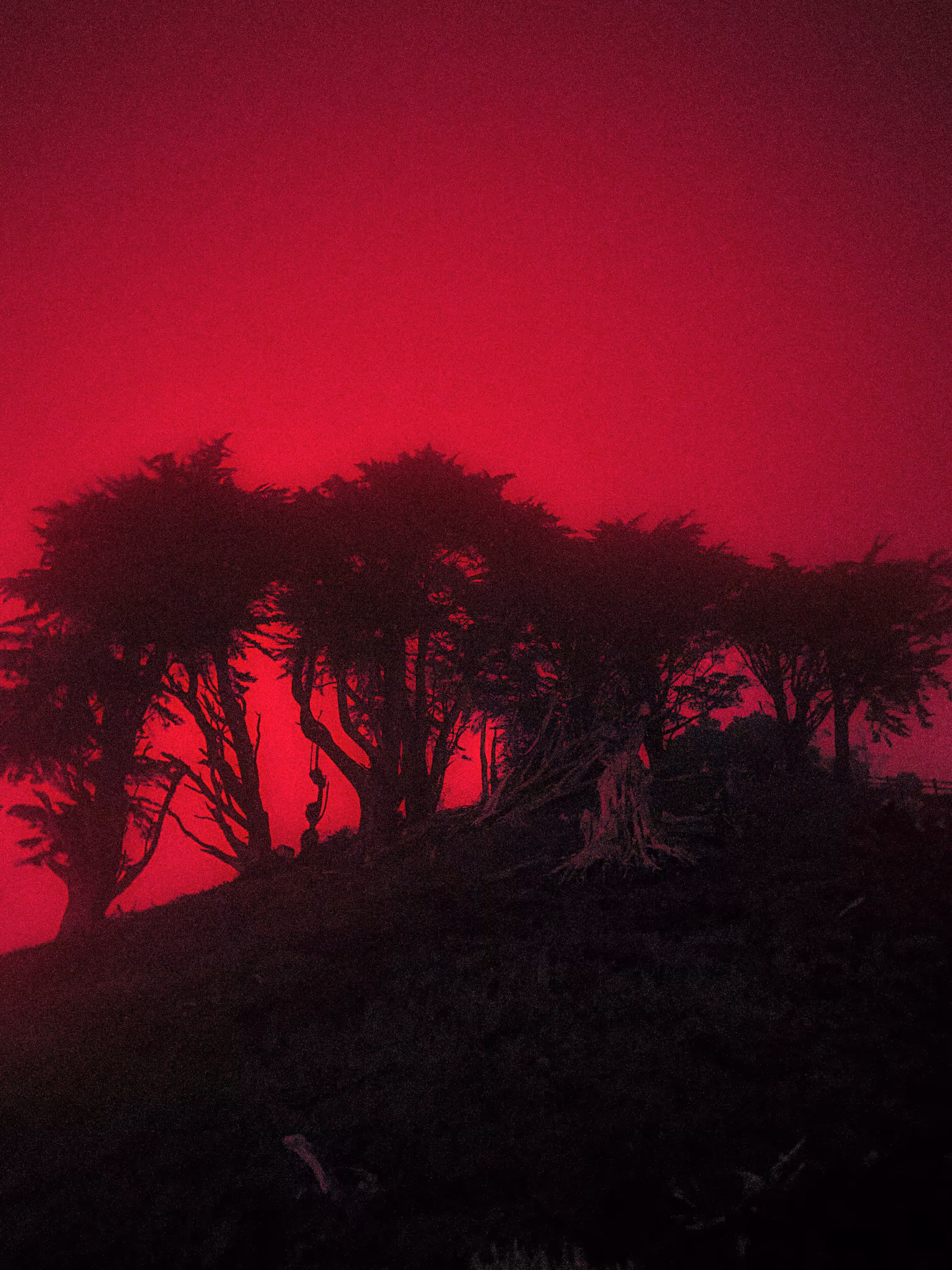 something wicked this way comes