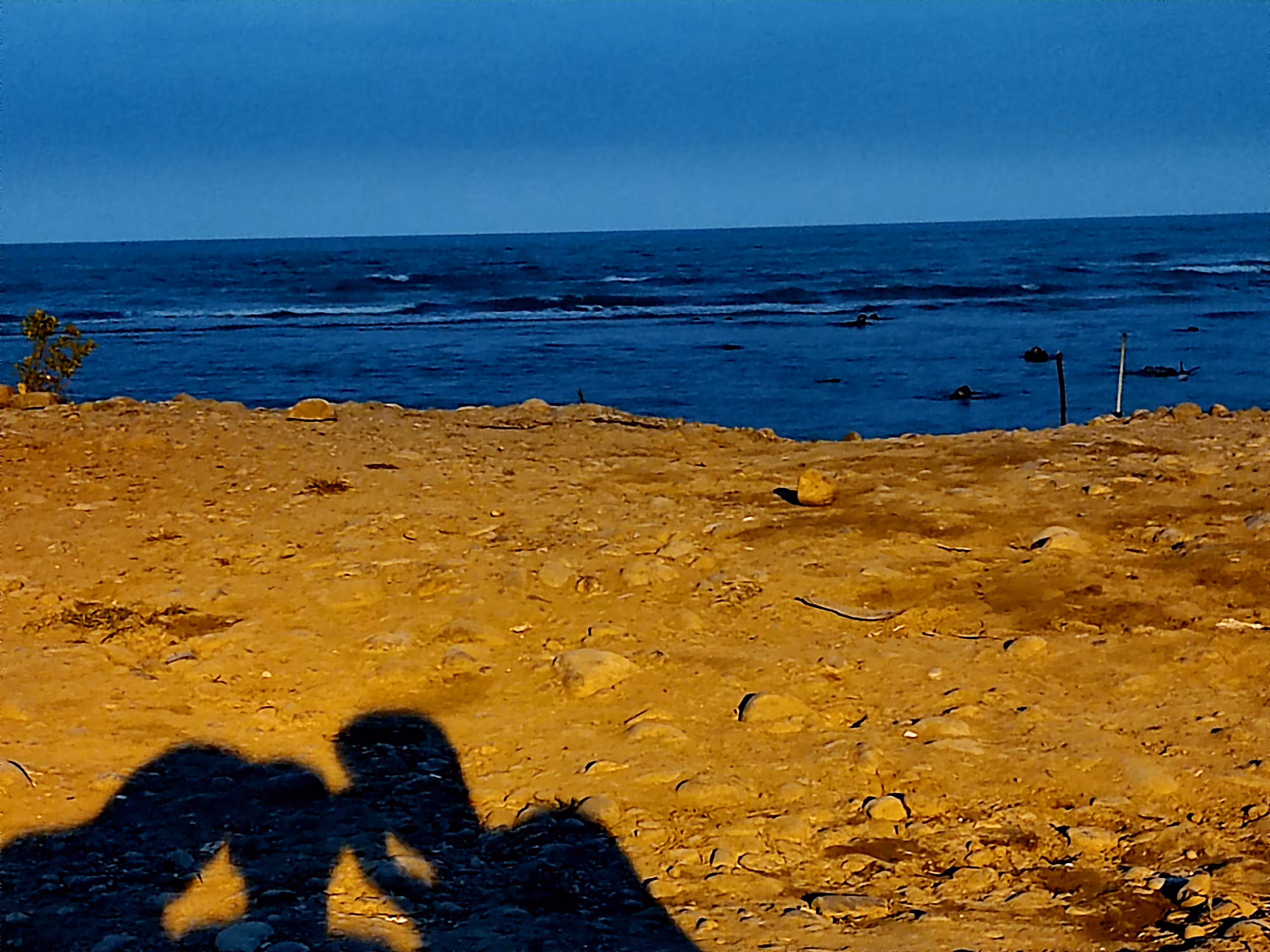 Shadow of Love