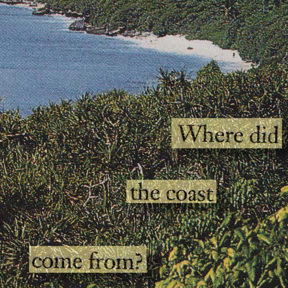 the coast