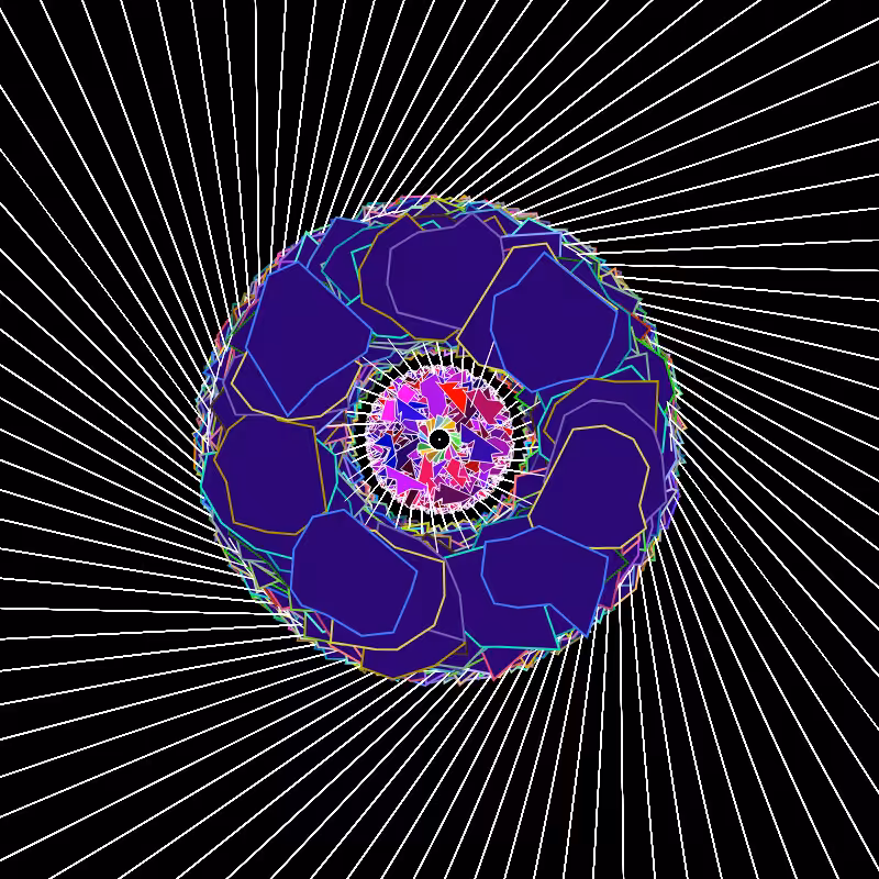 Transcendental Roses #2