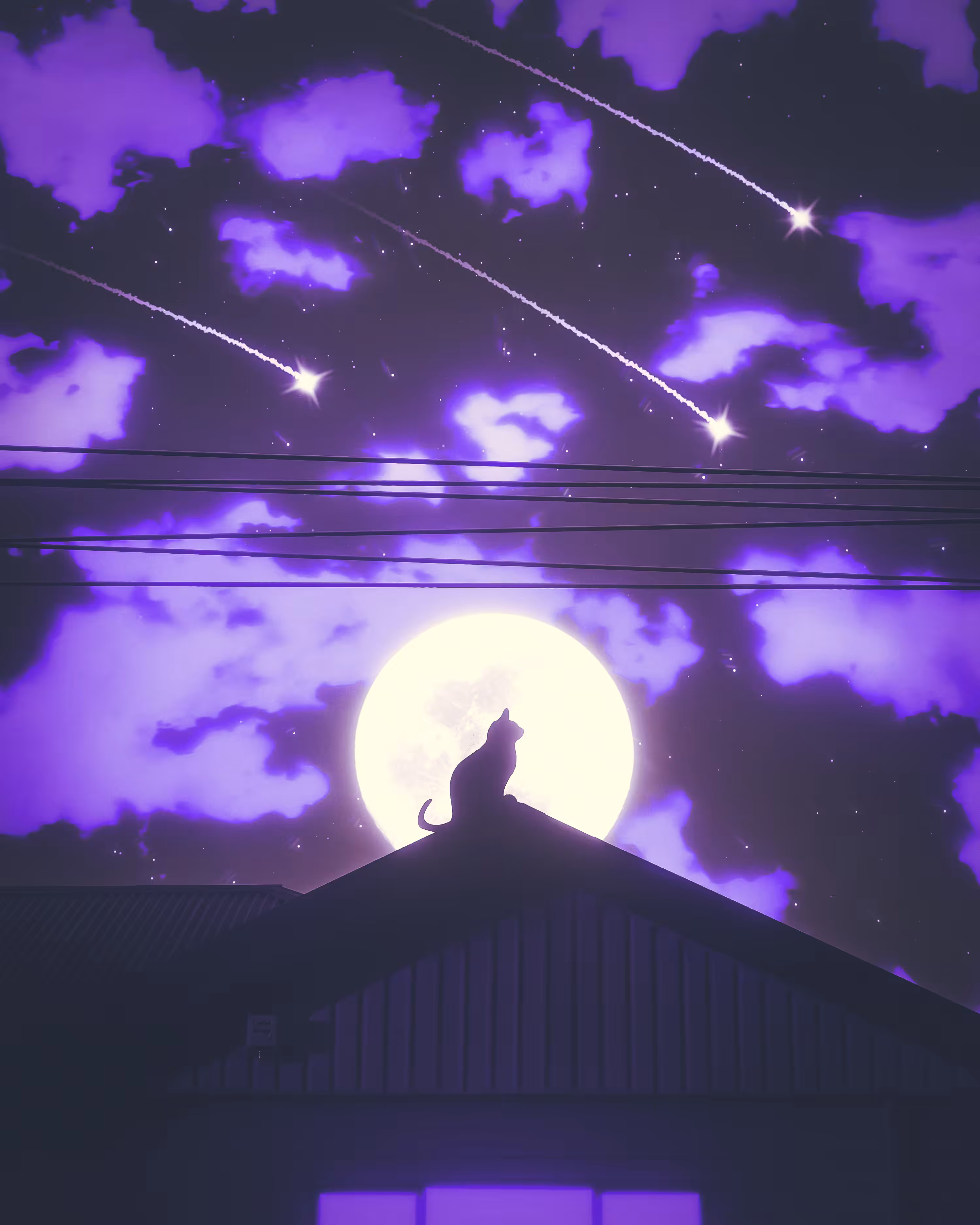 Nights Without You