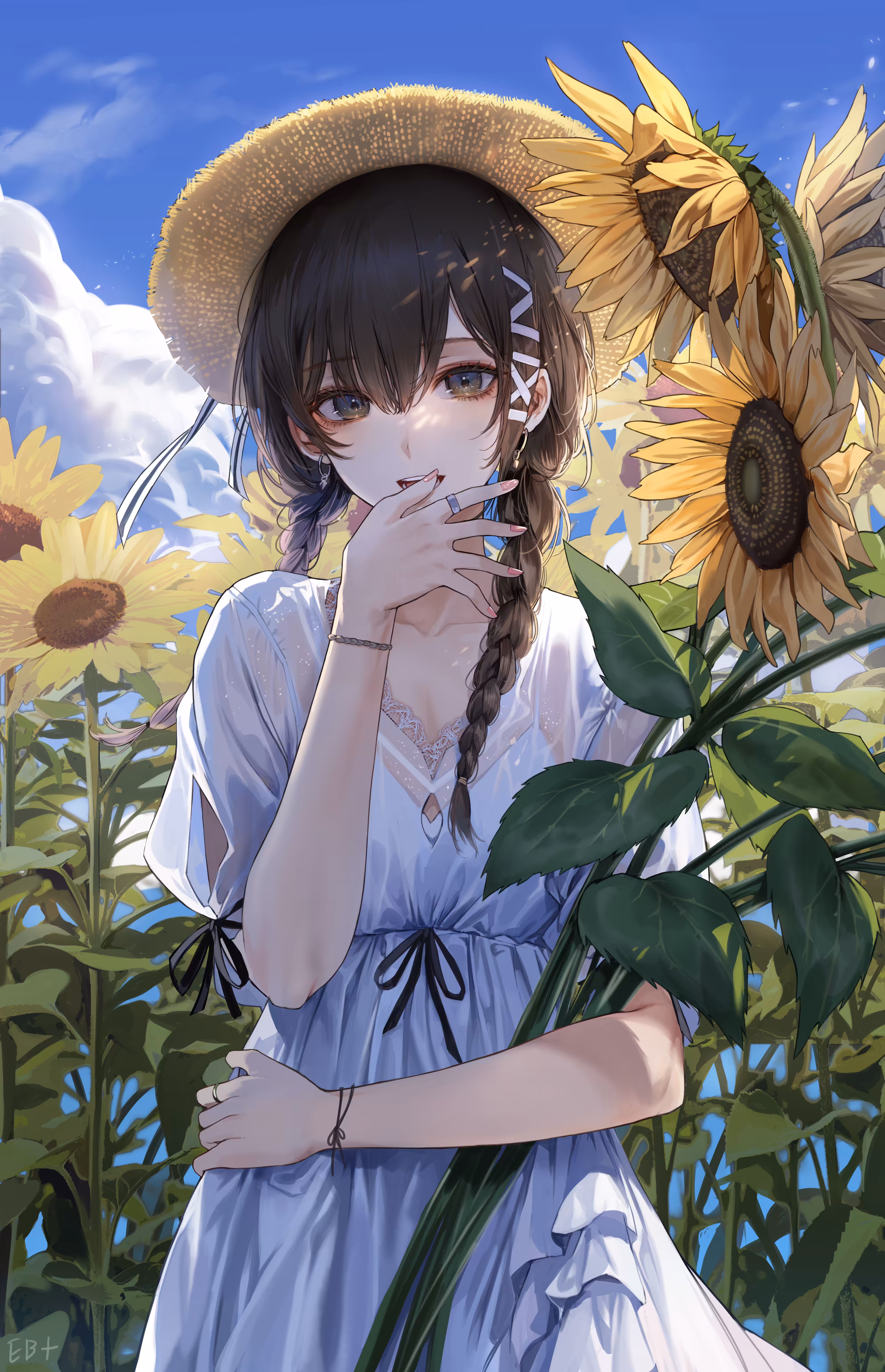 Sunflower