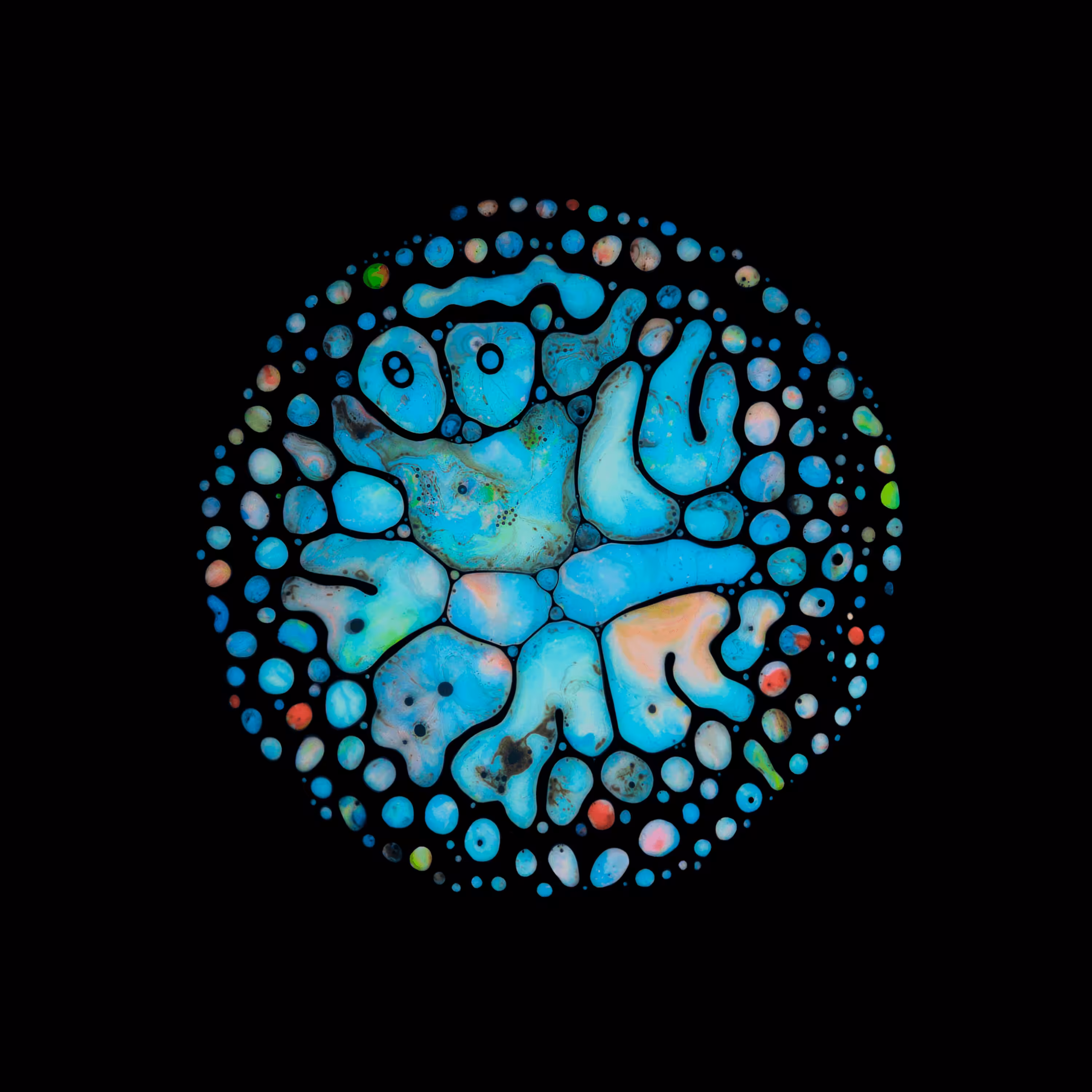 Haematopoiesis #40