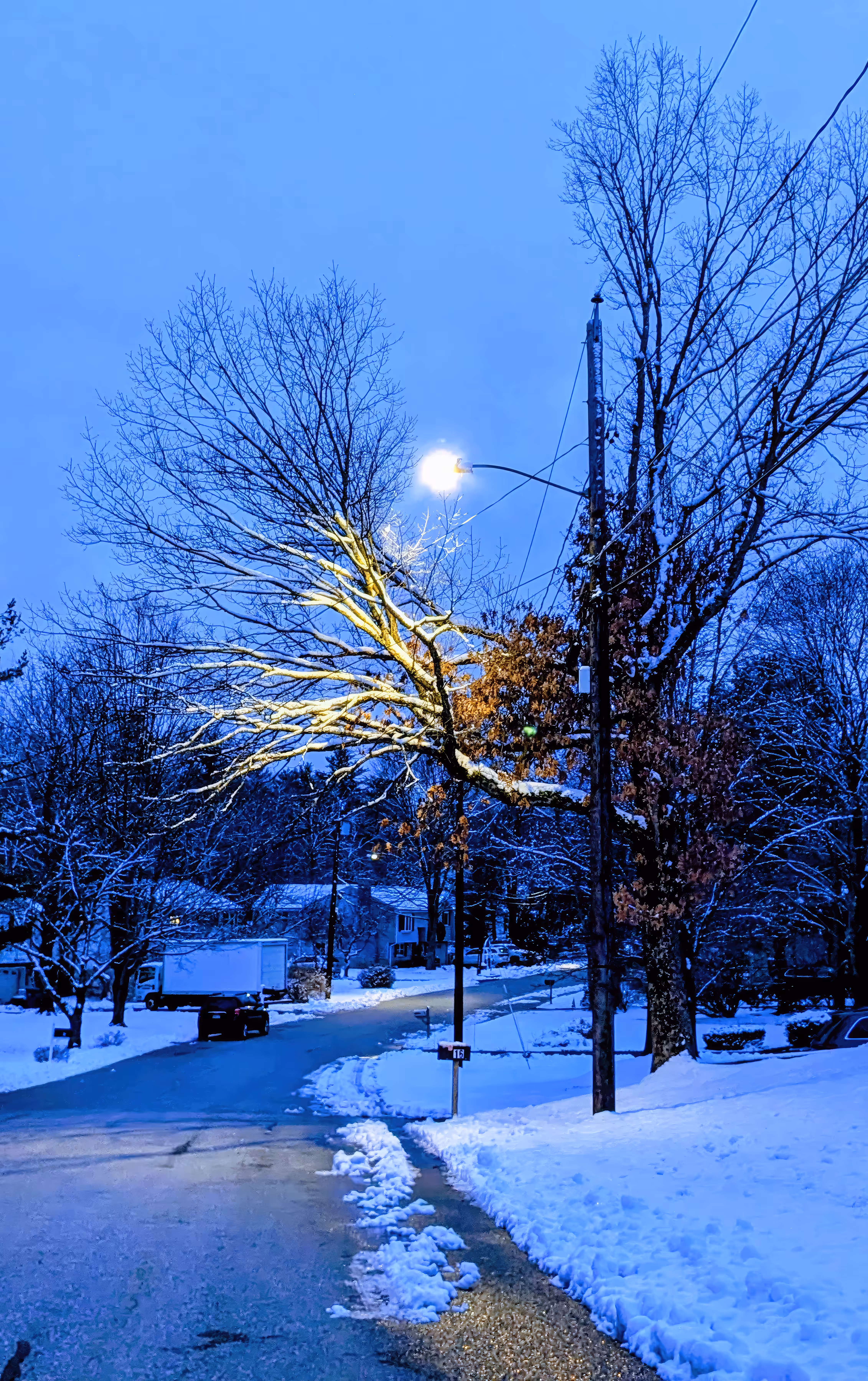 Snowshine (#1)
