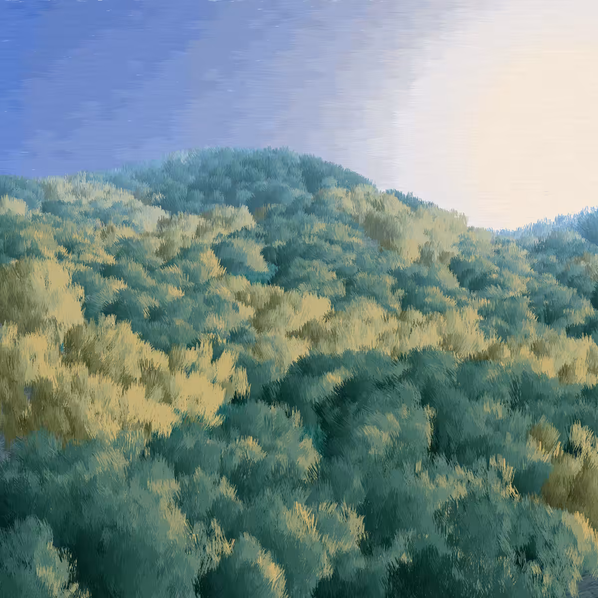 Provence #309