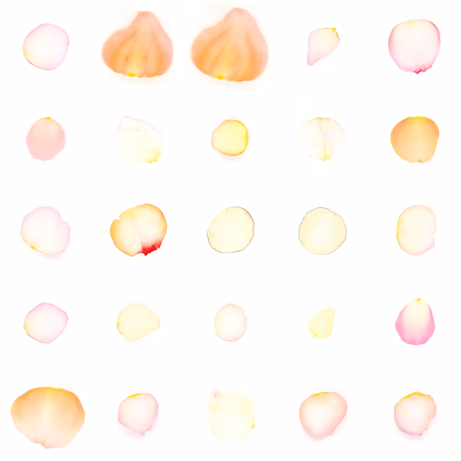 Infinite Petals 5x5#20611