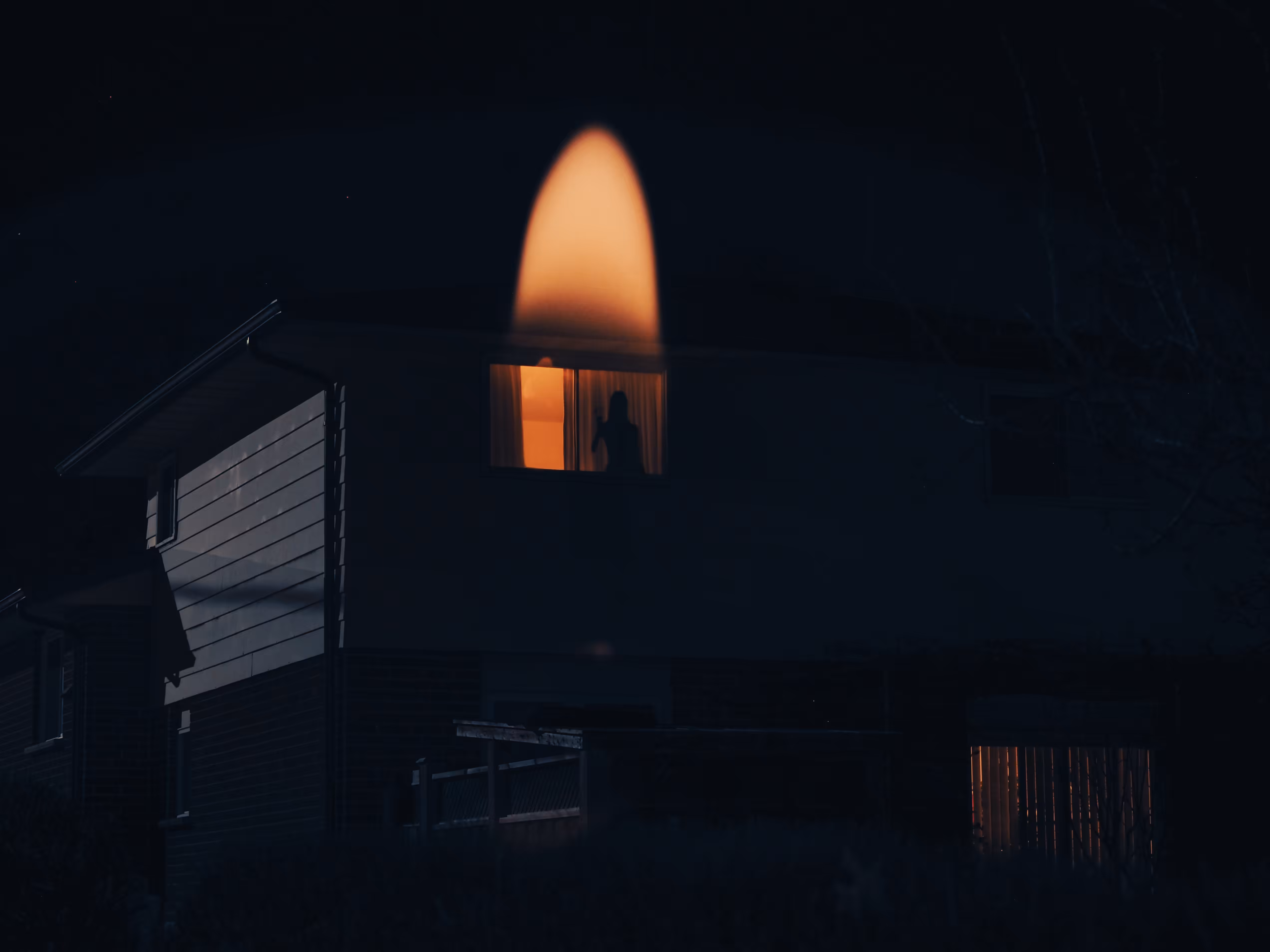 This World is a Burning House