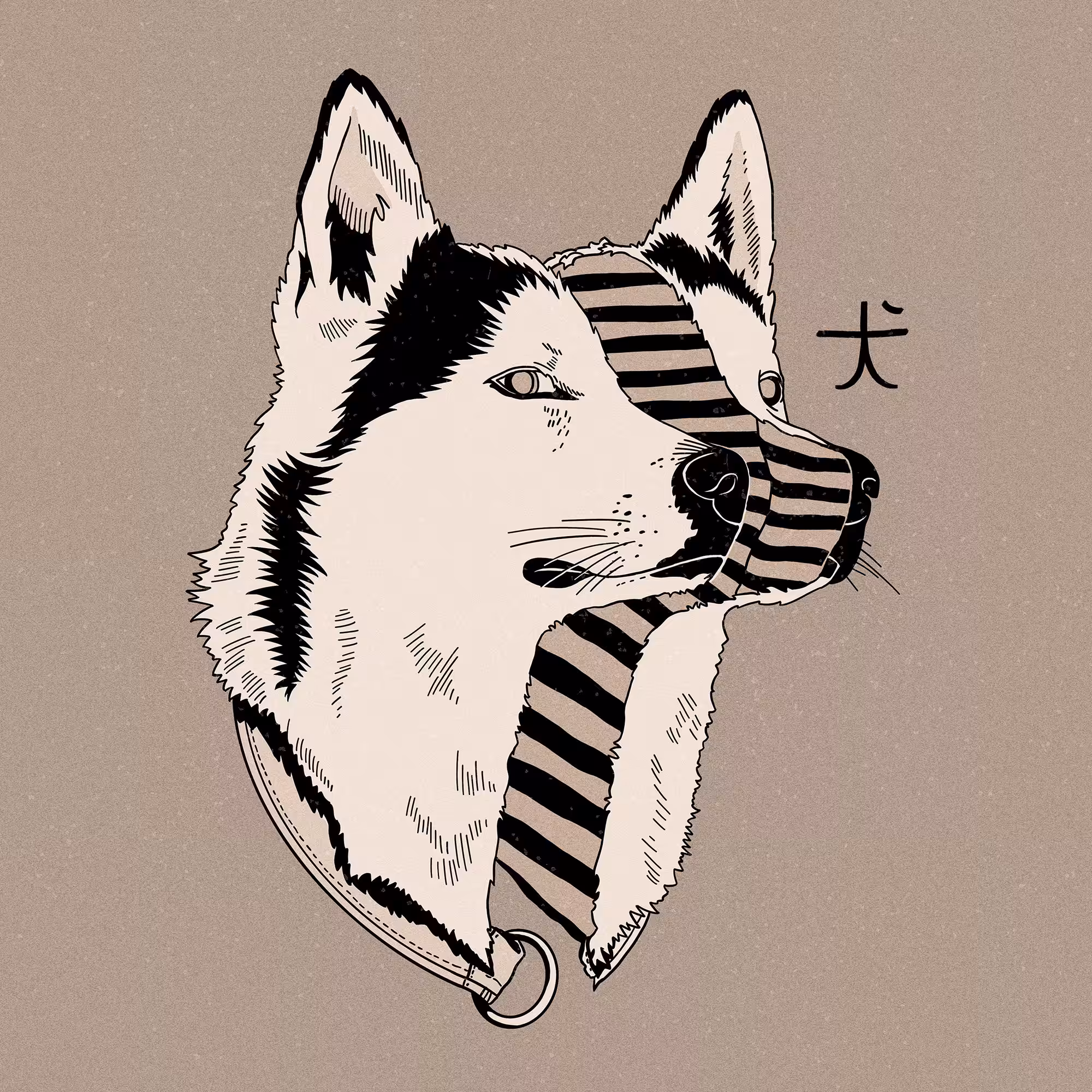 Husky