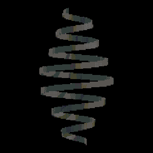 Ribbon
