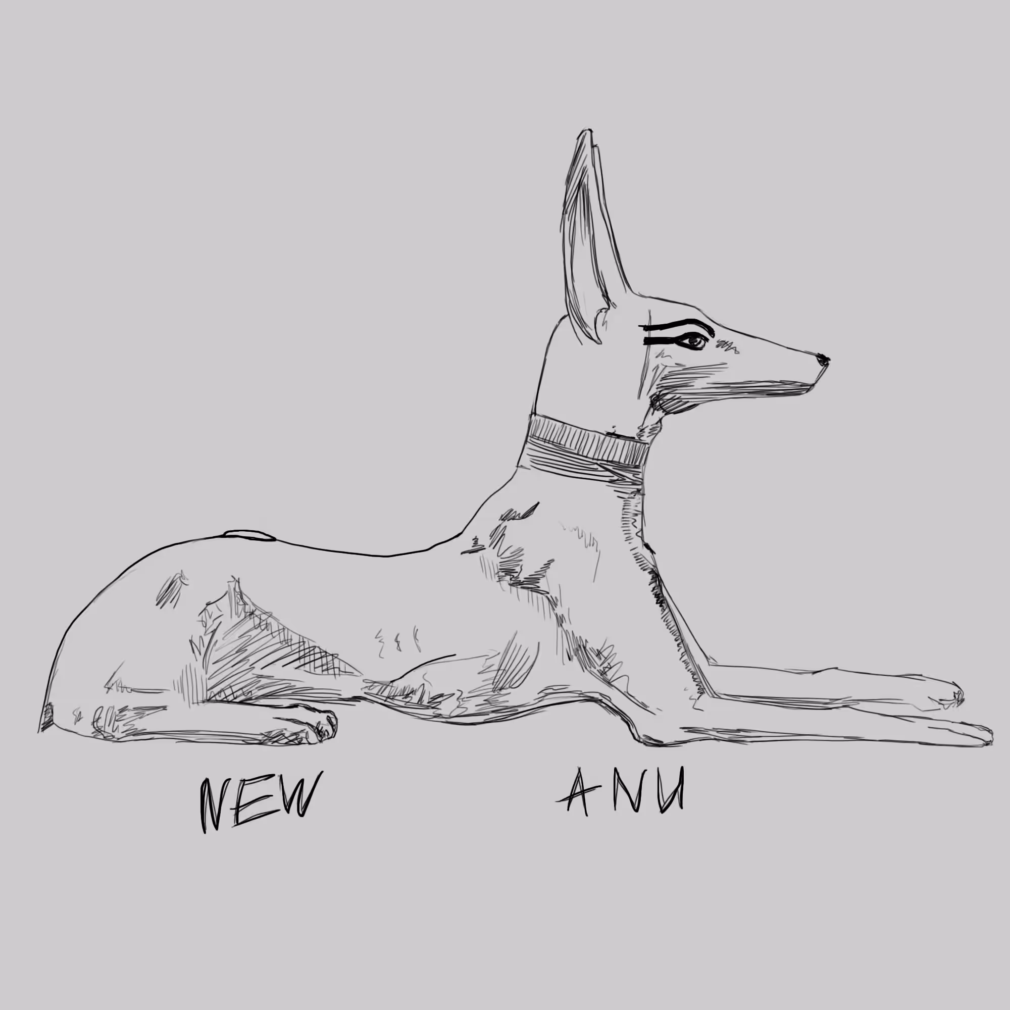 New Anu