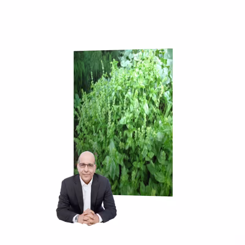 ART BASIL 2022 #33