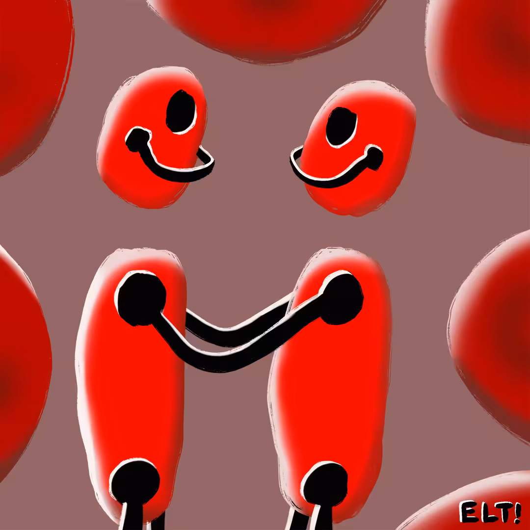 Blood Meets Blood