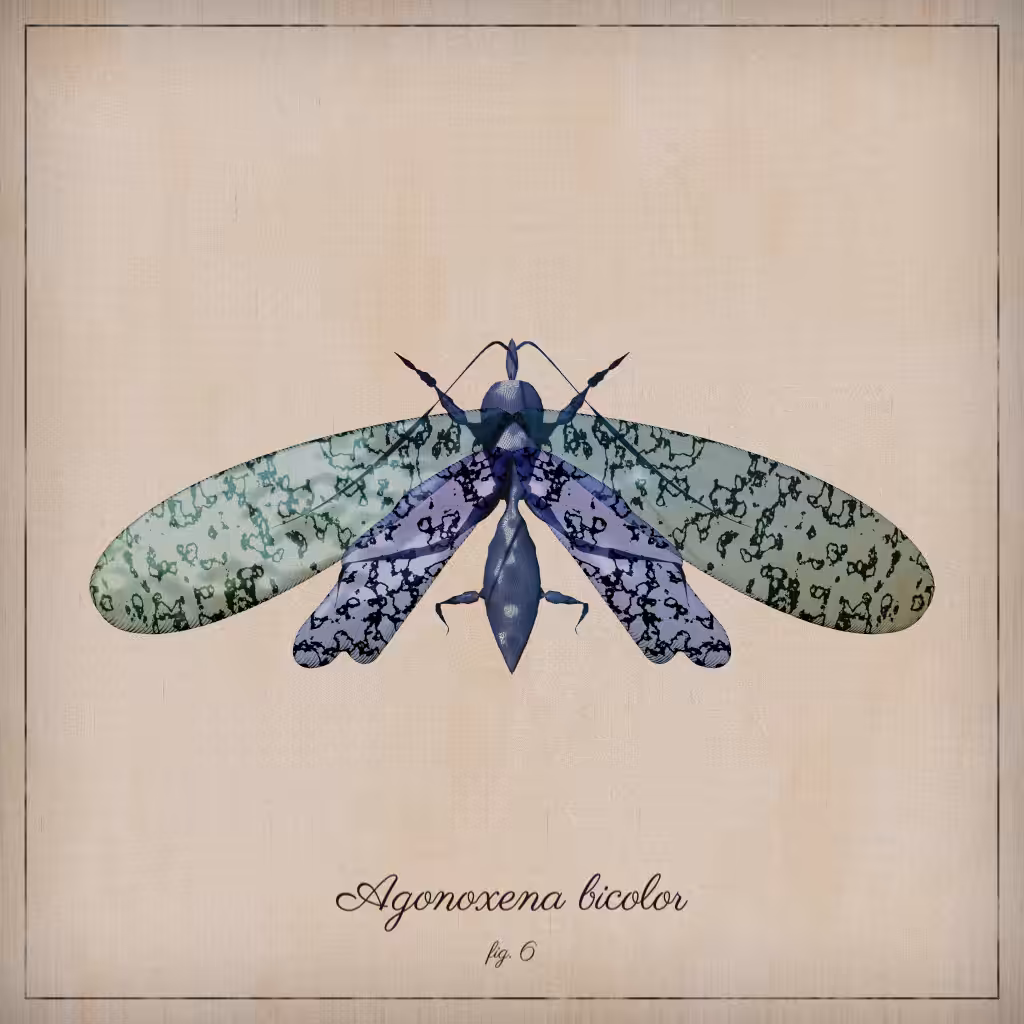 ProcGen Entomology #500
