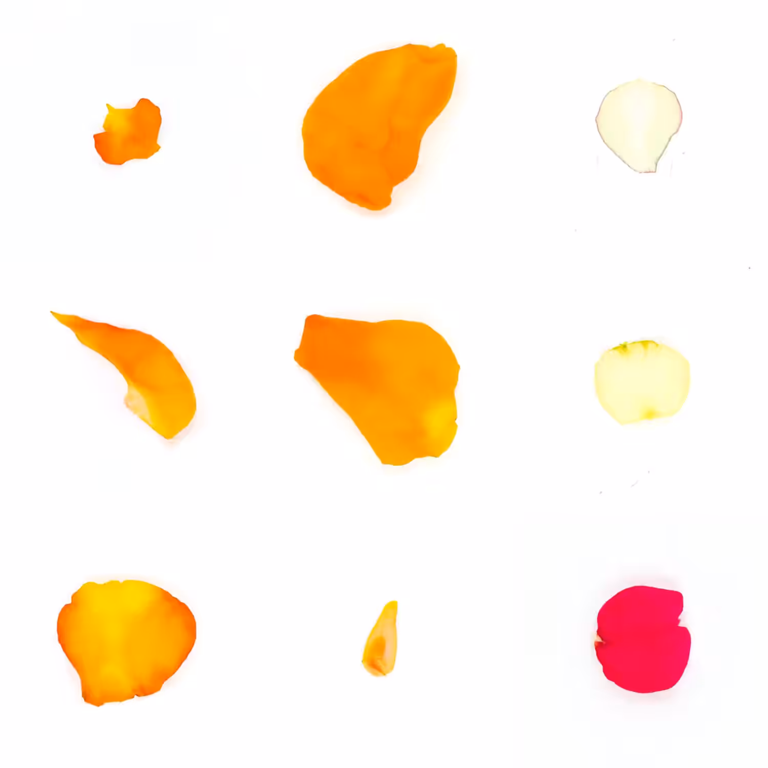 Infinite Petals 3x3#20336