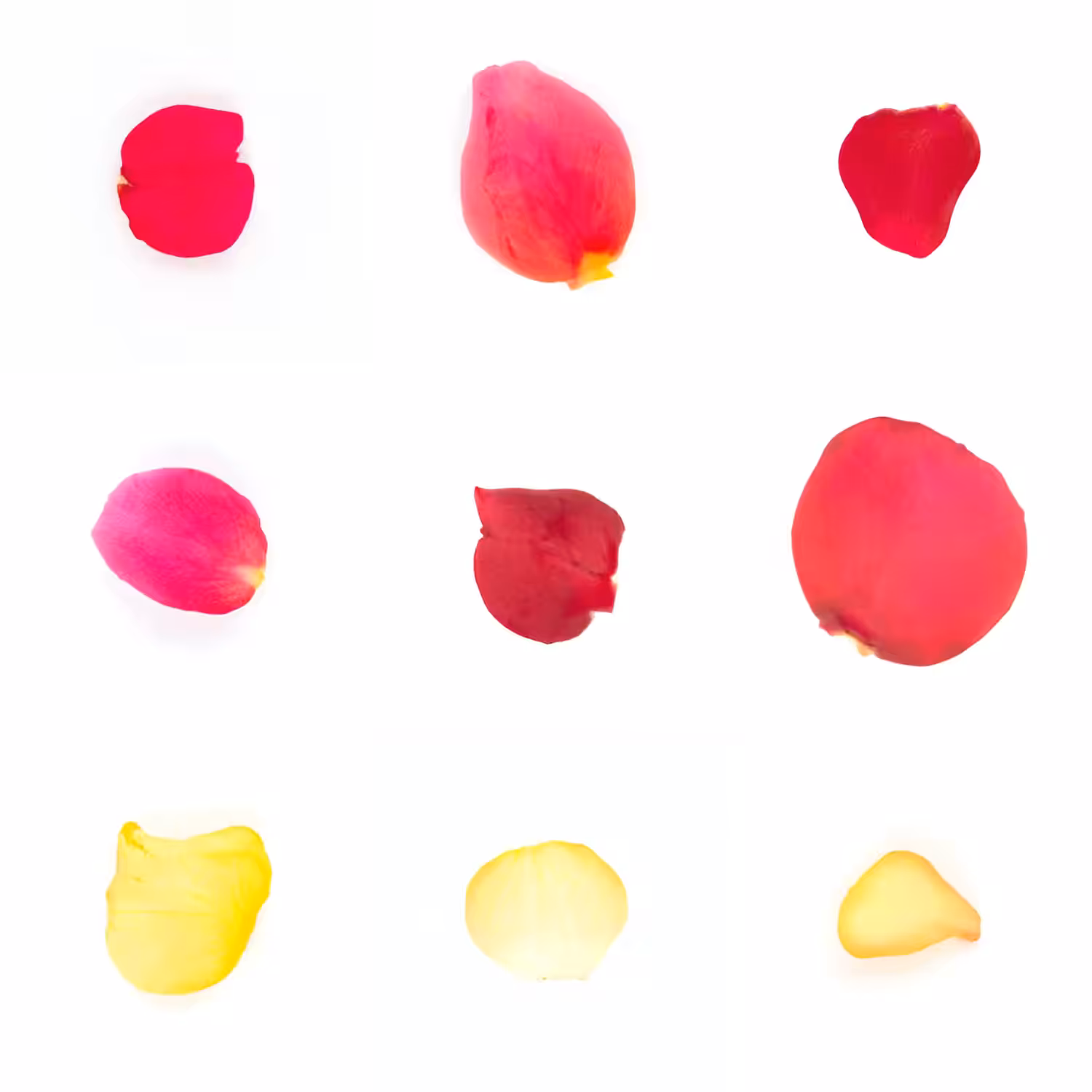 Infinite Petals 3x3#3172