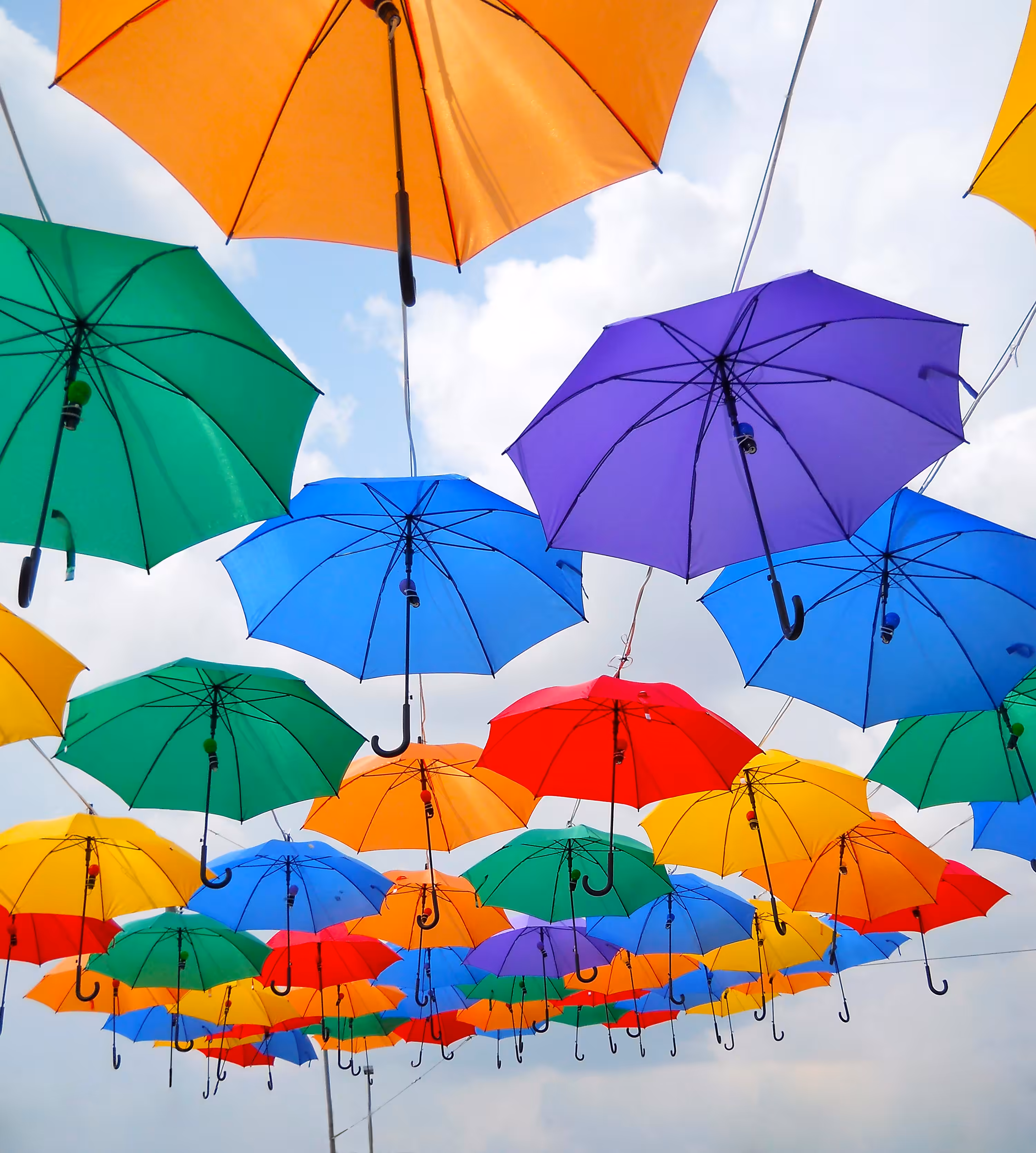 Rainbow umbrellas