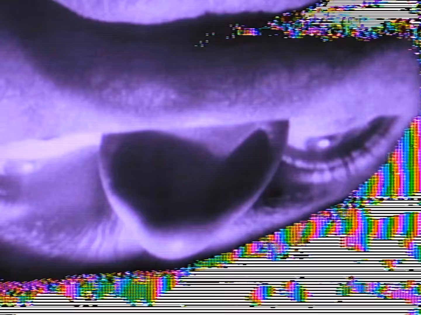 STILL25
