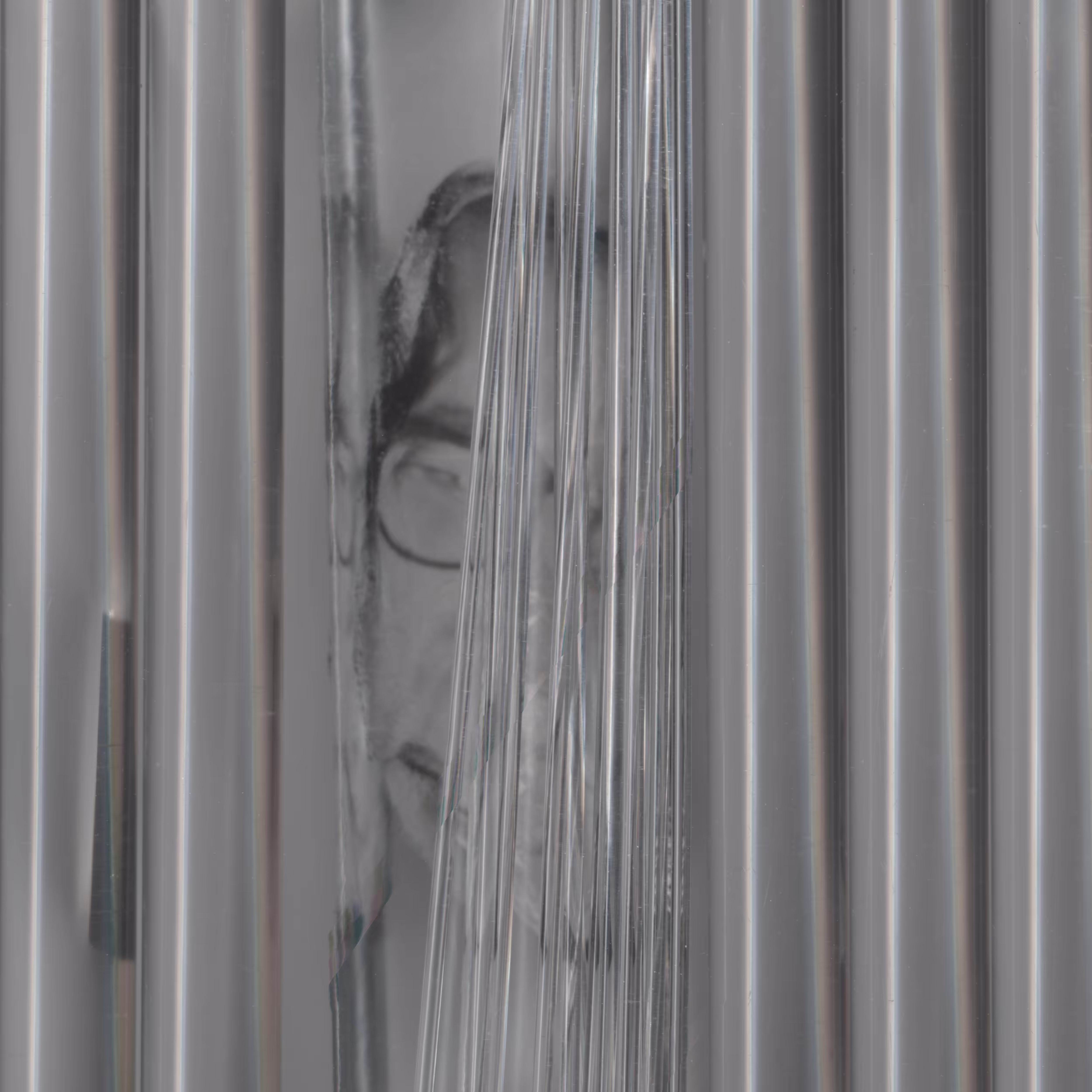 Hidden lie (Privacy Portraits)