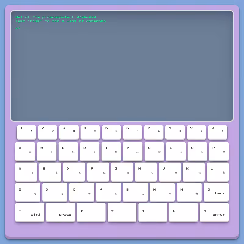 picocomputer #5