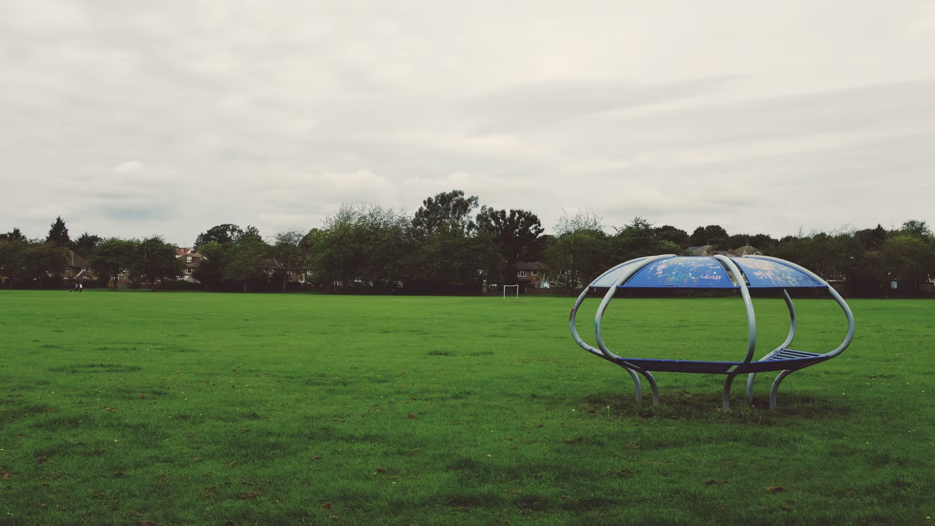 Strange Shelter