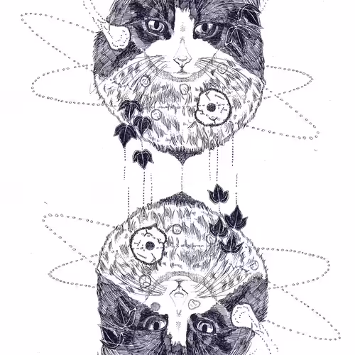 Horns x Animals-noa-