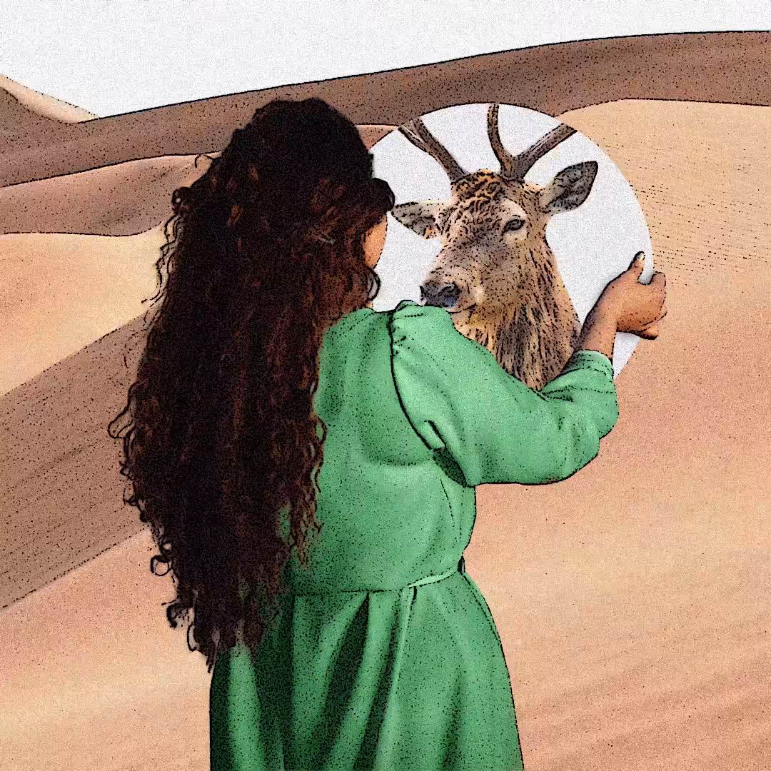 Desert Mirror 2